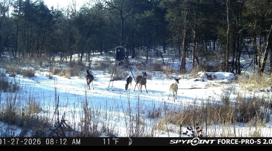 Photo 9 - Vacant Land for sale – 0000  Buck Ridge   Williford, AR