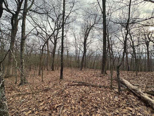 Photo 10 - Vacant Land for sale – 0000  Buck Ridge   Williford, AR
