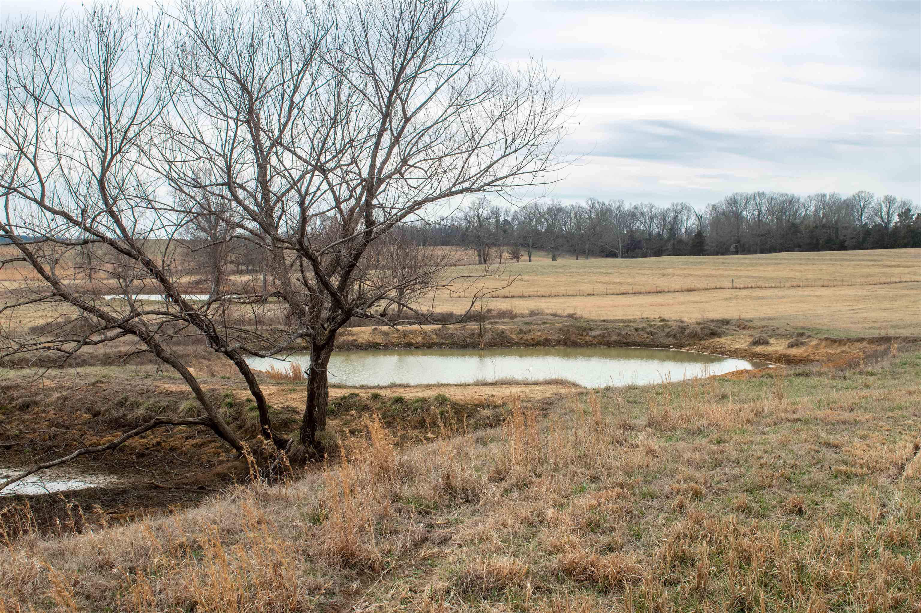 Photo 3 - Vacant Land for sale – 1274  Cutoff Road   Melbourne, AR