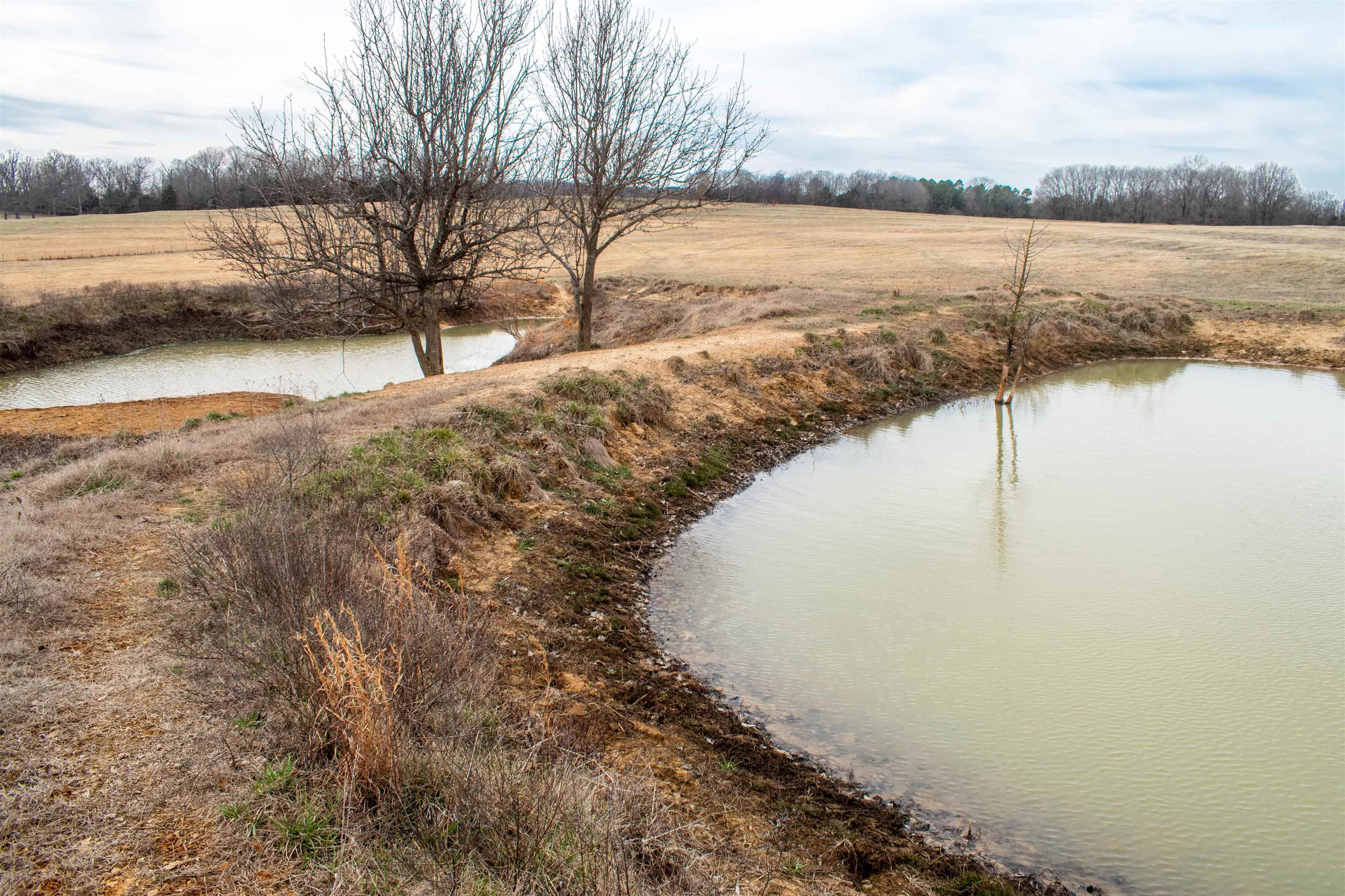 Photo 4 - Vacant Land for sale – 1274  Cutoff Road   Melbourne, AR