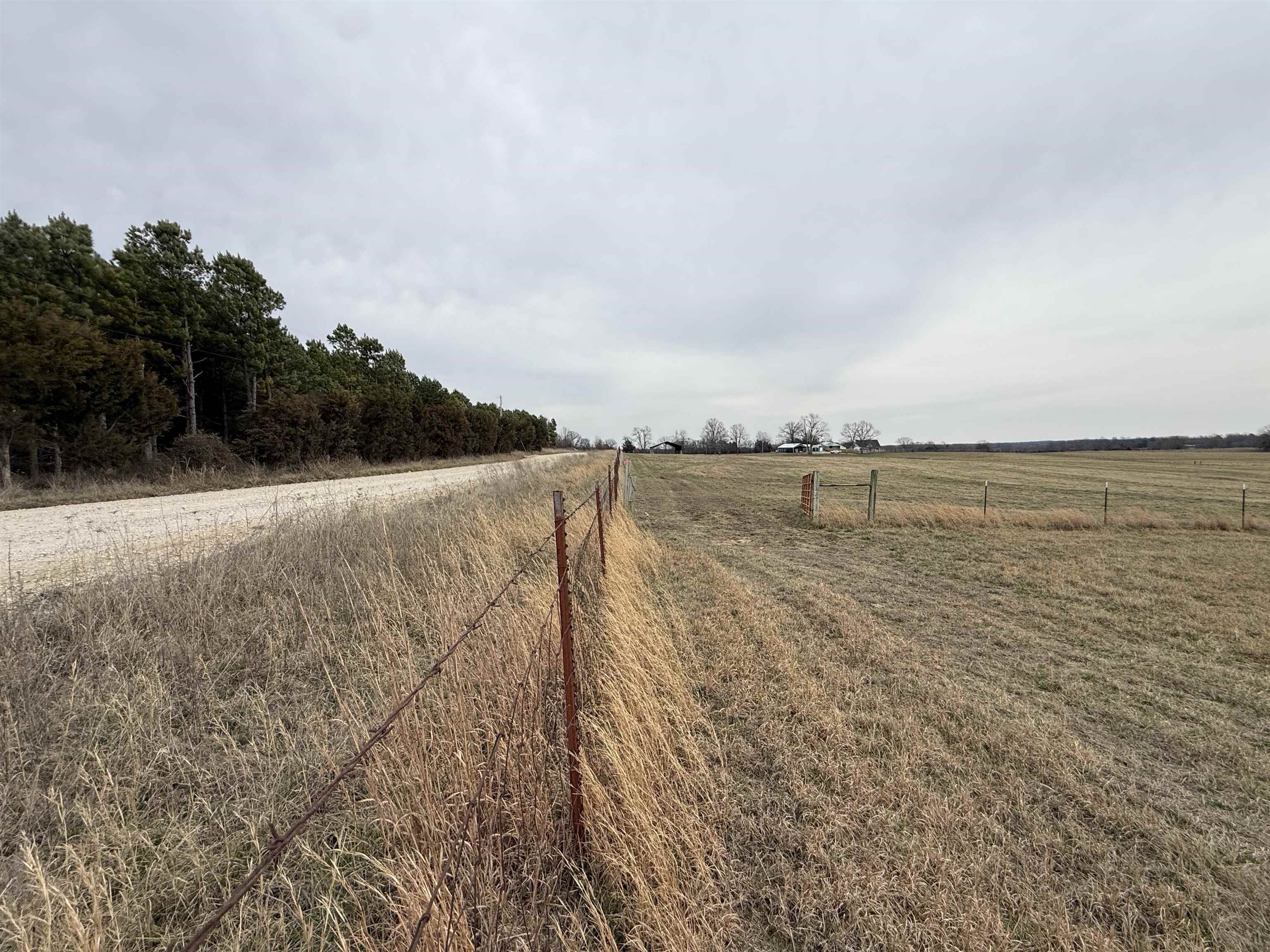 Photo 6 - Vacant Land for sale – 1274  Cutoff Road   Melbourne, AR