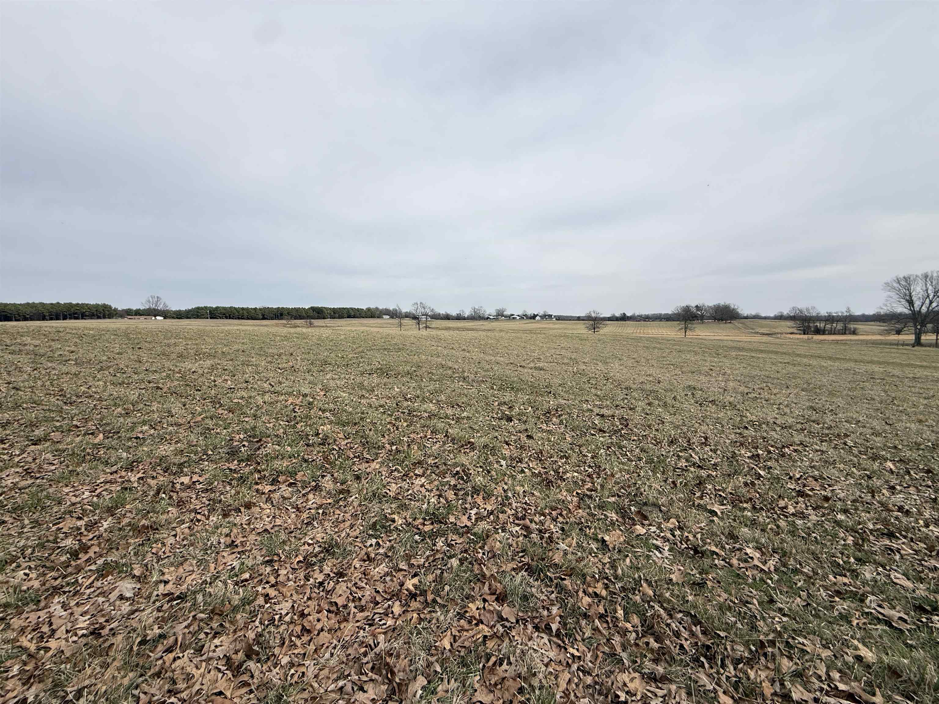 Photo 7 - Vacant Land for sale – 1274  Cutoff Road   Melbourne, AR