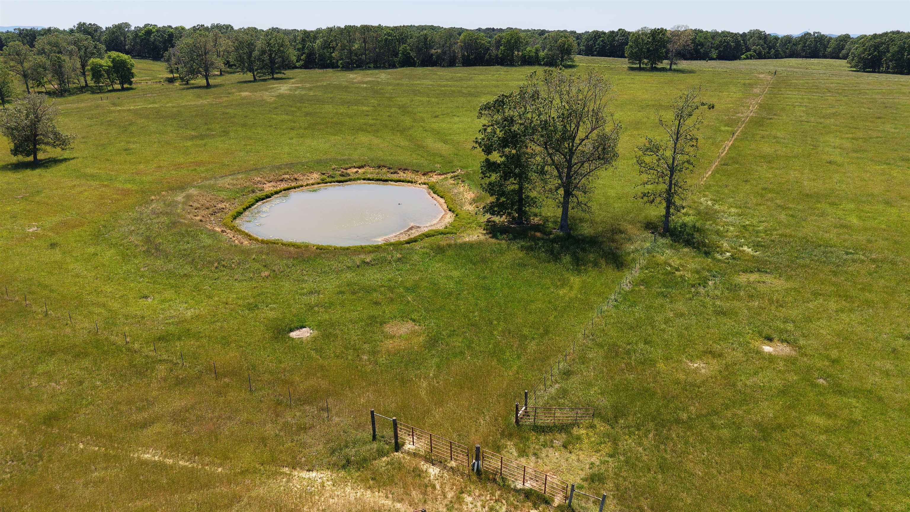 Photo 2 - Vacant Land for sale – 1250  Cutoff Road   Melbourne, AR