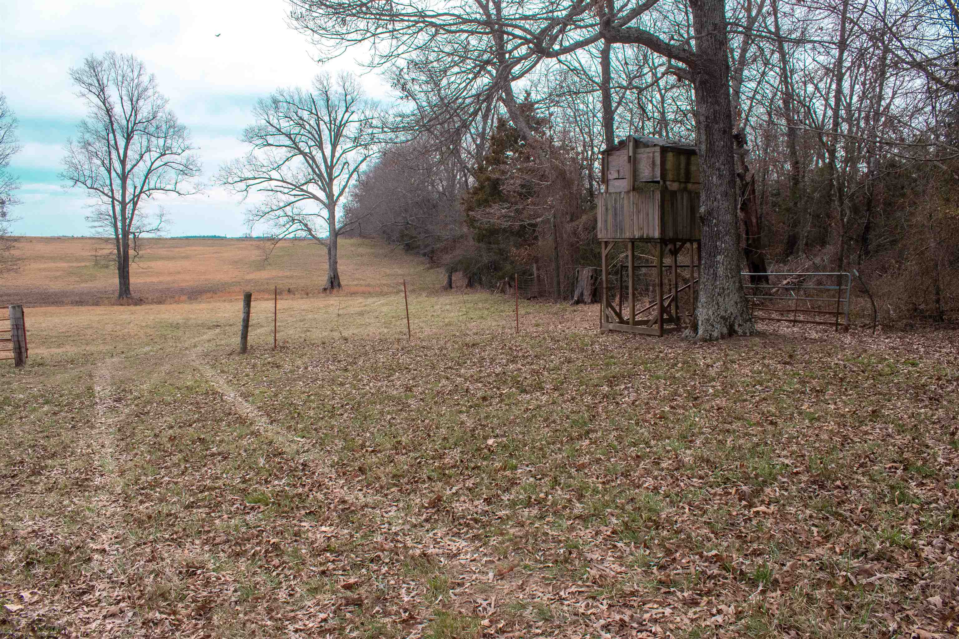 Photo 3 - Vacant Land for sale – 1250  Cutoff Road   Melbourne, AR