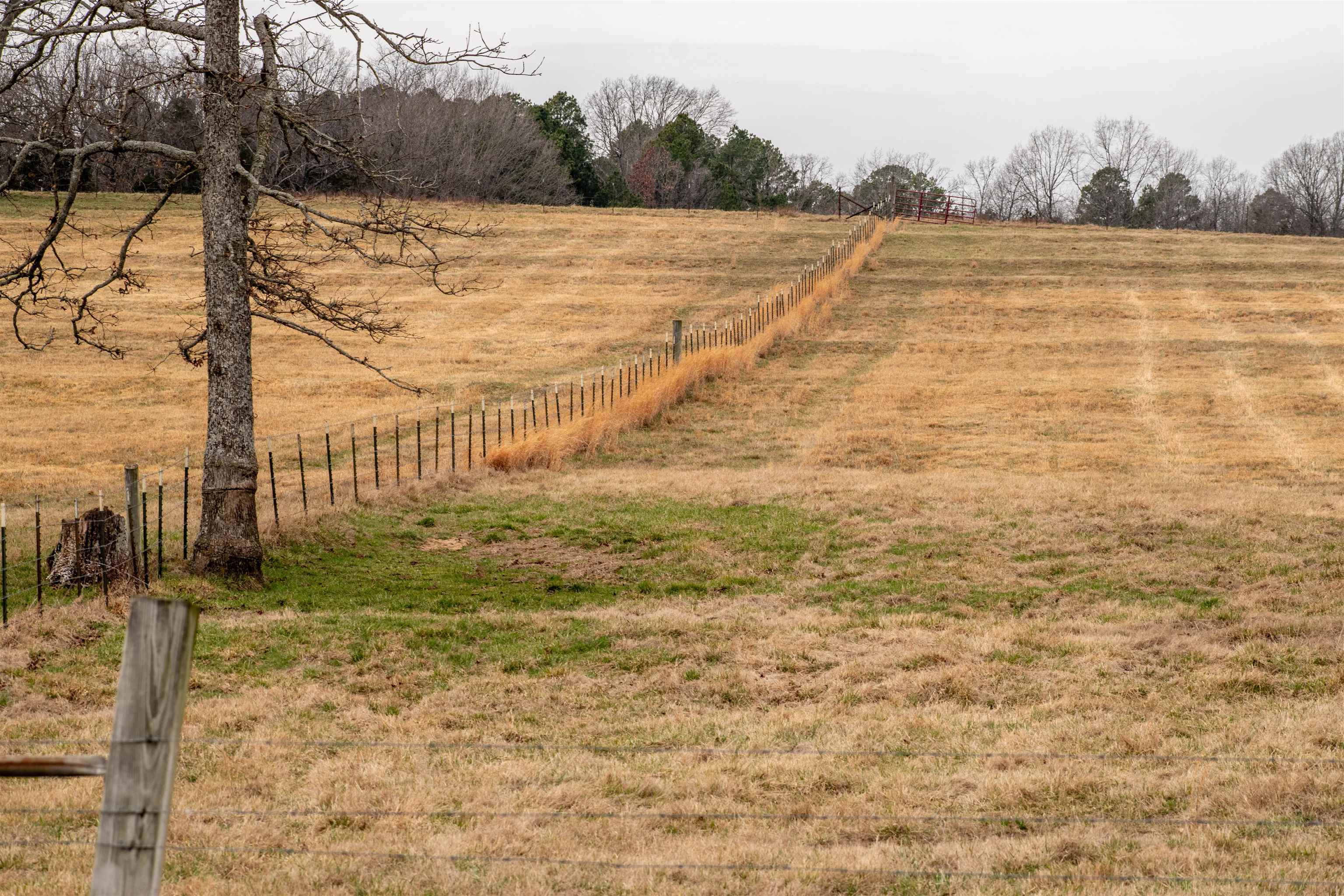 Photo 6 - Vacant Land for sale – 1250  Cutoff Road   Melbourne, AR