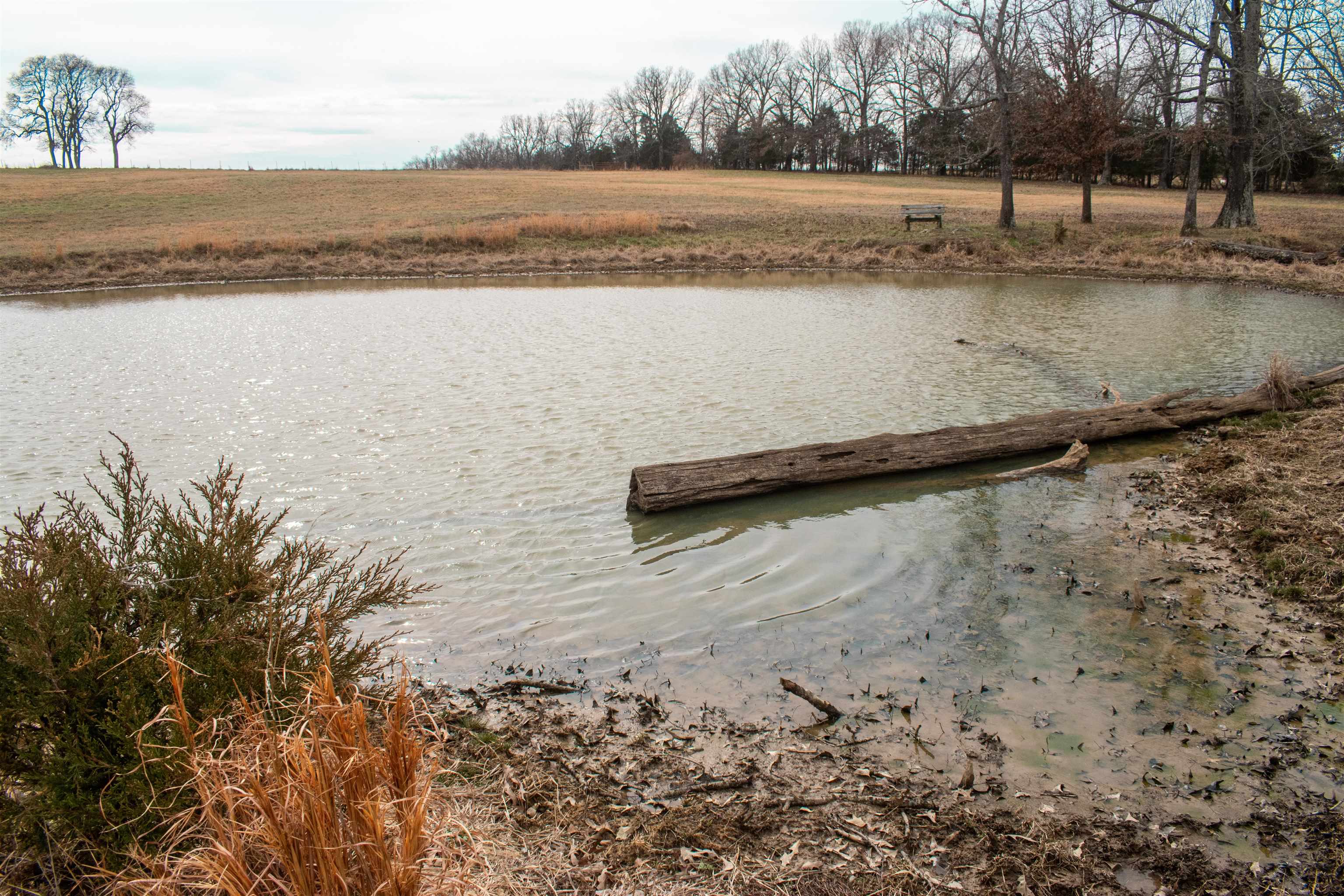 Photo 2 - Vacant Land for sale – 945  Cutoff Road   Melbourne, AR