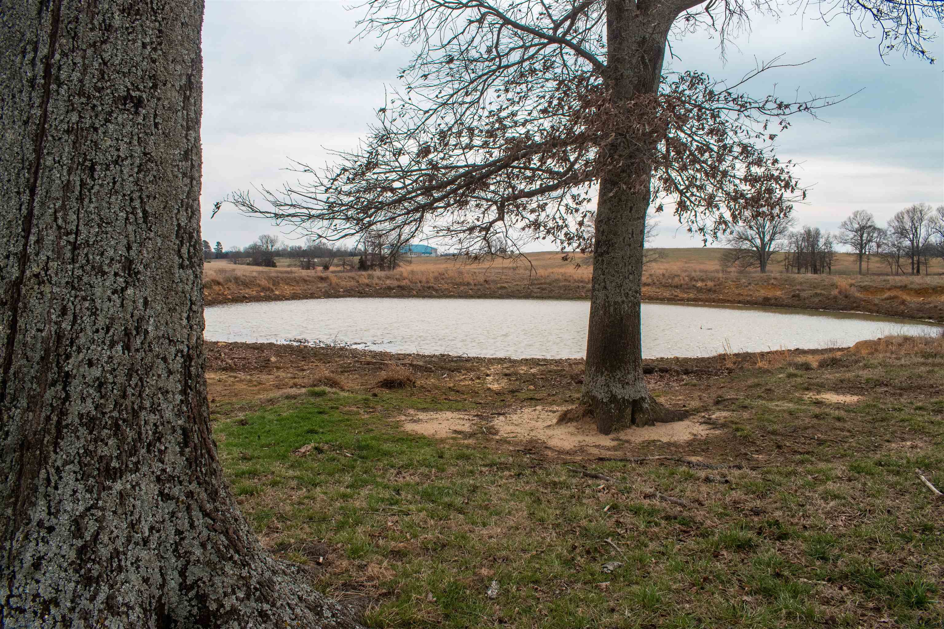 Photo 3 - Vacant Land for sale – 945  Cutoff Road   Melbourne, AR