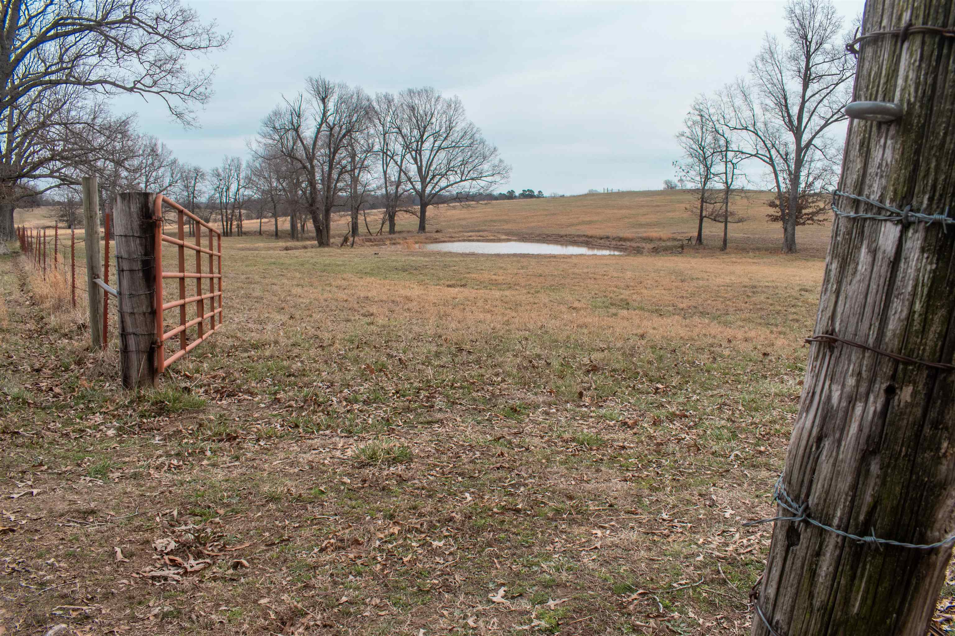 Photo 4 - Vacant Land for sale – 945  Cutoff Road   Melbourne, AR