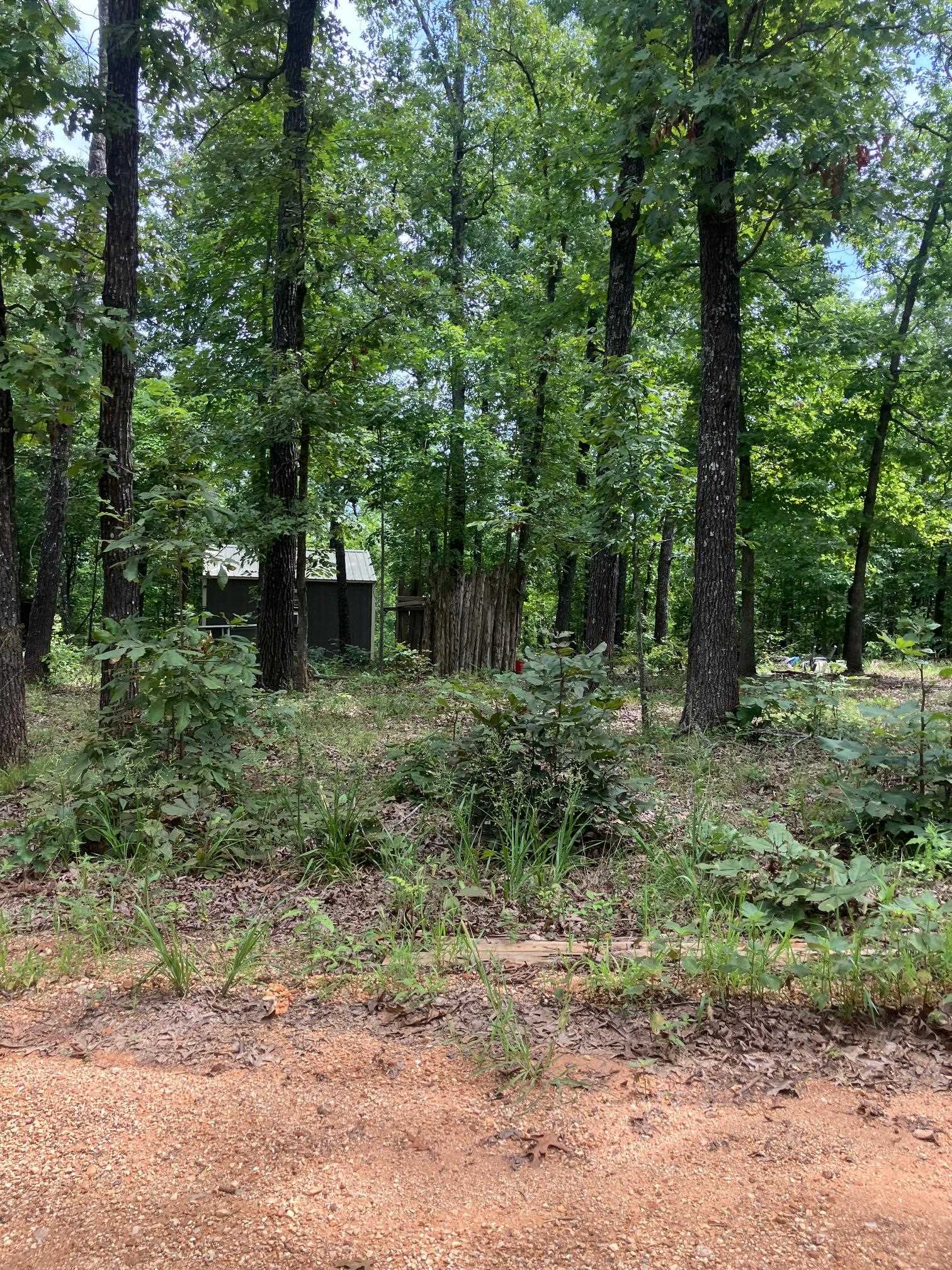 Photo 11 - Vacant Land for sale – 1859  Springwood Road   Hardy, AR