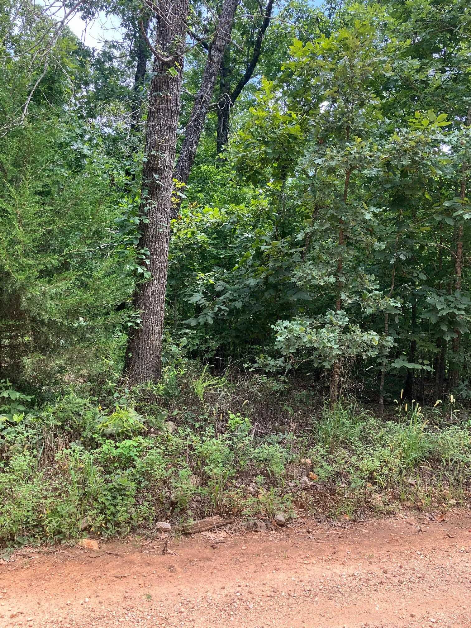 Photo 12 - Vacant Land for sale – 1859  Springwood Road   Hardy, AR
