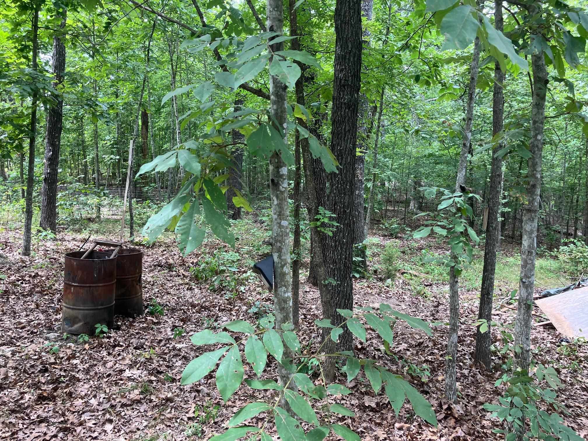 Photo 13 - Vacant Land for sale – 1859  Springwood Road   Hardy, AR