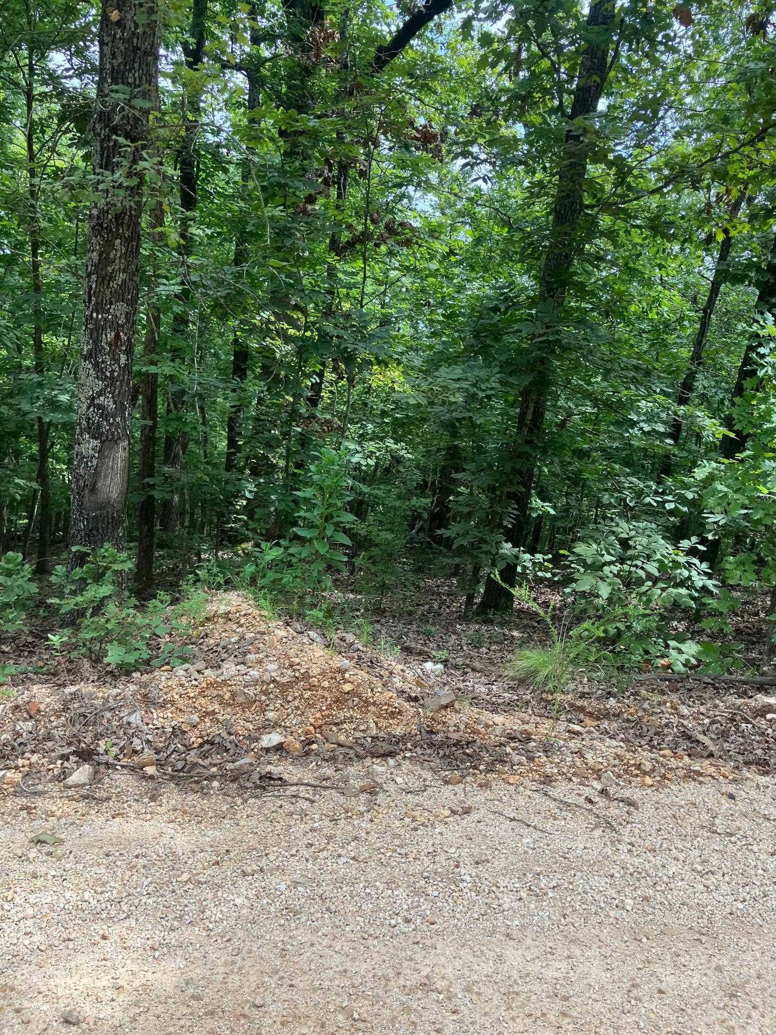 Photo 15 - Vacant Land for sale – 1859  Springwood Road   Hardy, AR