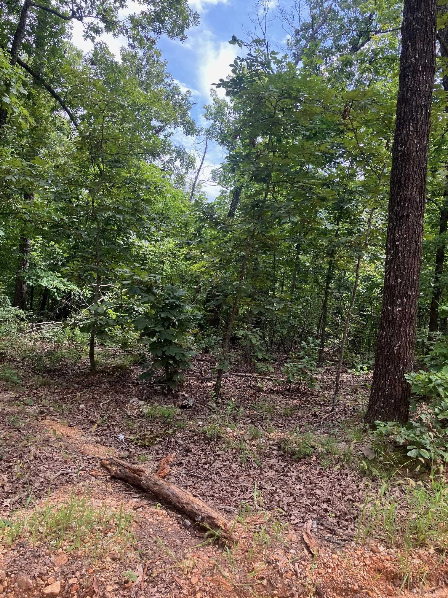 Photo 16 - Vacant Land for sale – 1859  Springwood Road   Hardy, AR