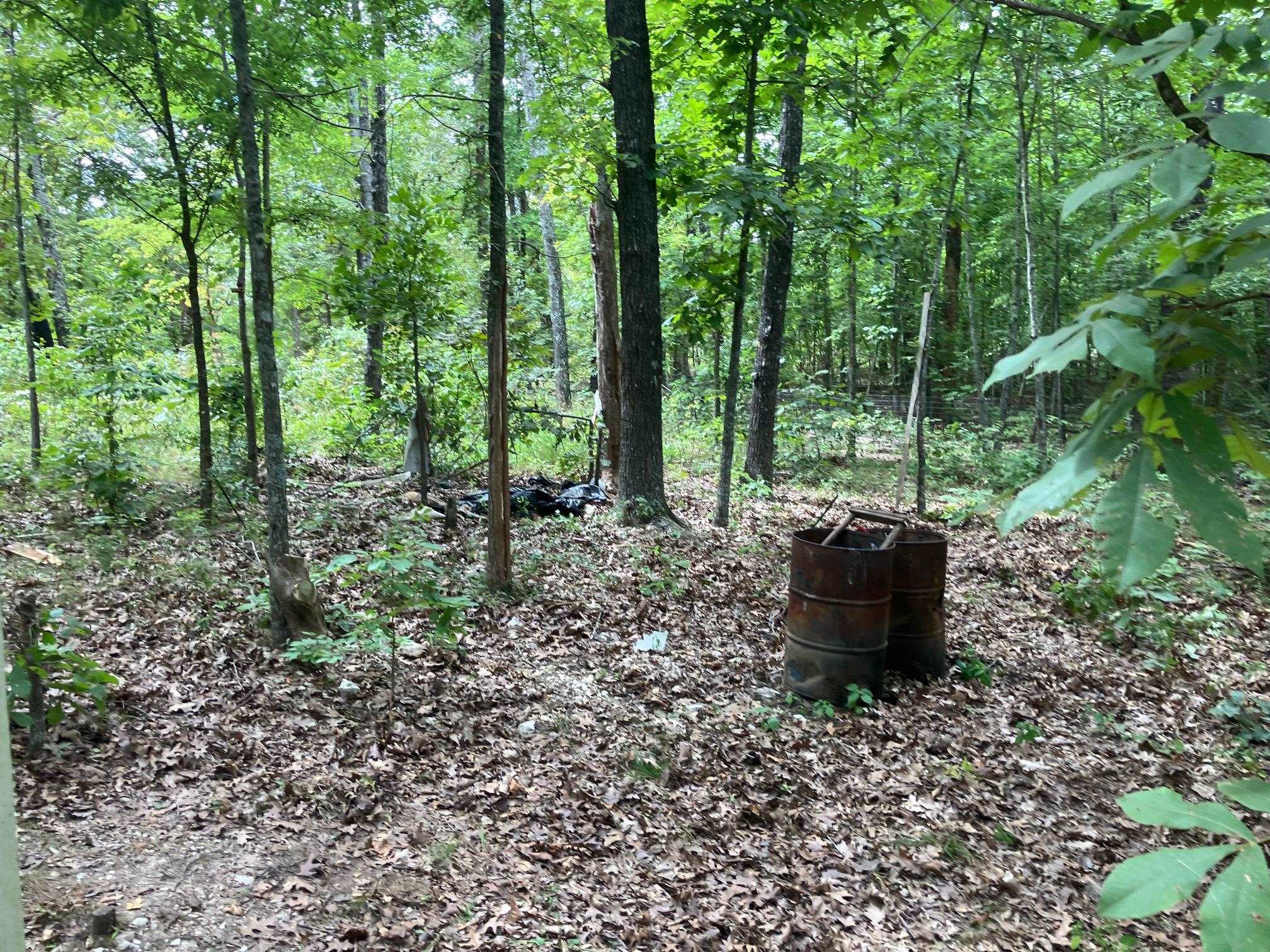 Photo 17 - Vacant Land for sale – 1859  Springwood Road   Hardy, AR