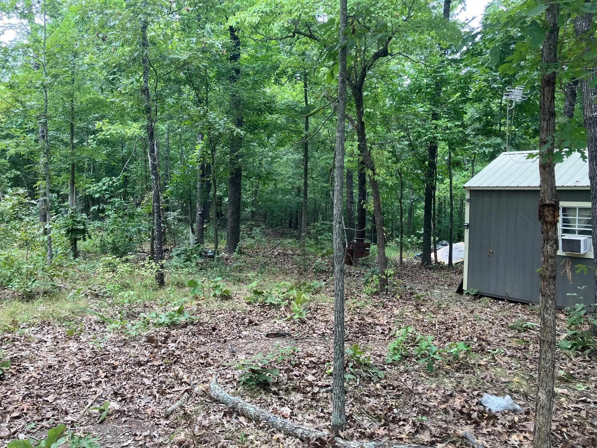 Photo 4 - Vacant Land for sale – 1859  Springwood Road   Hardy, AR