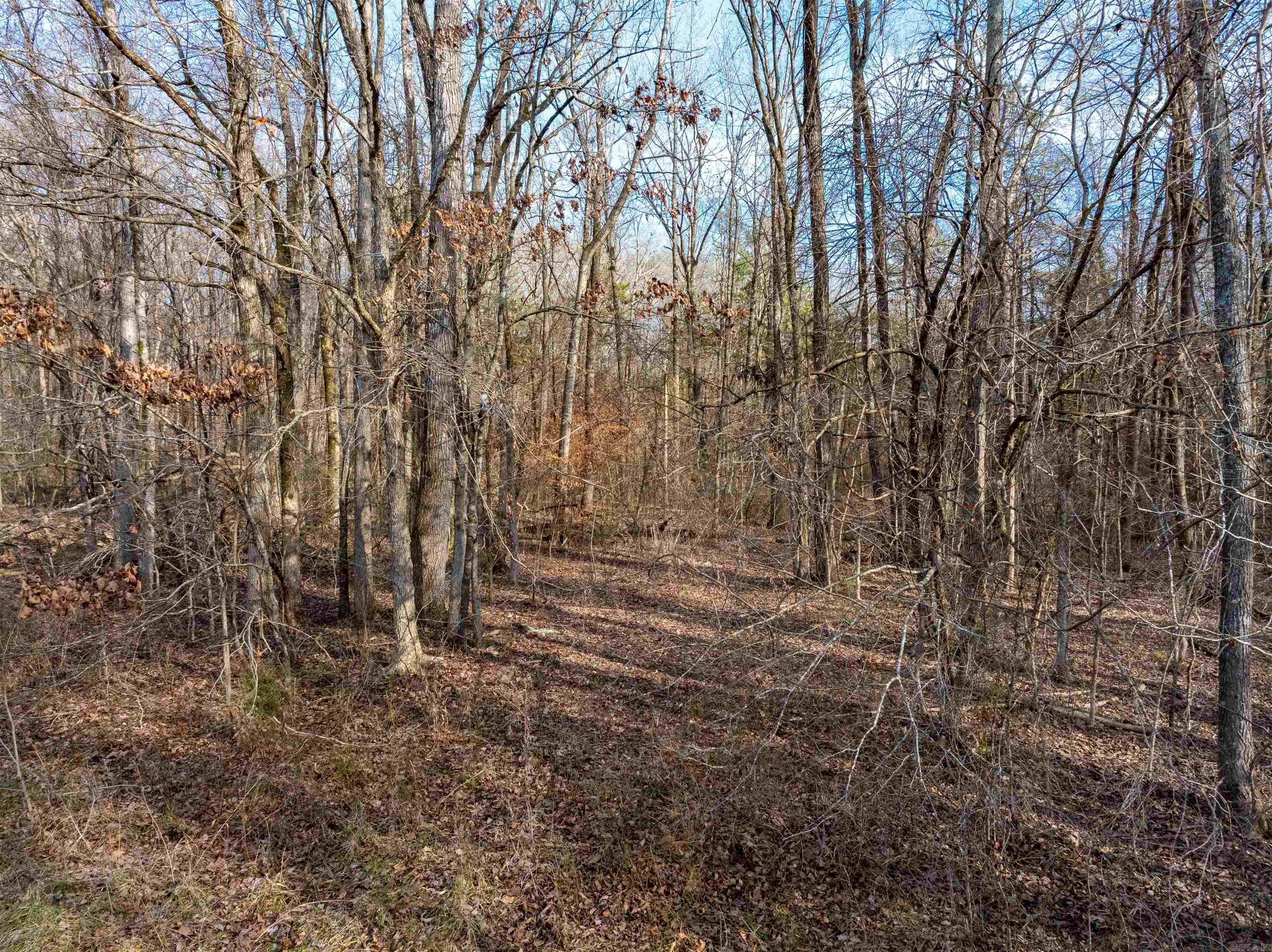 Photo 17 - Vacant Land for sale – TBD  Deer Valley Rd   Locust Grove, AR