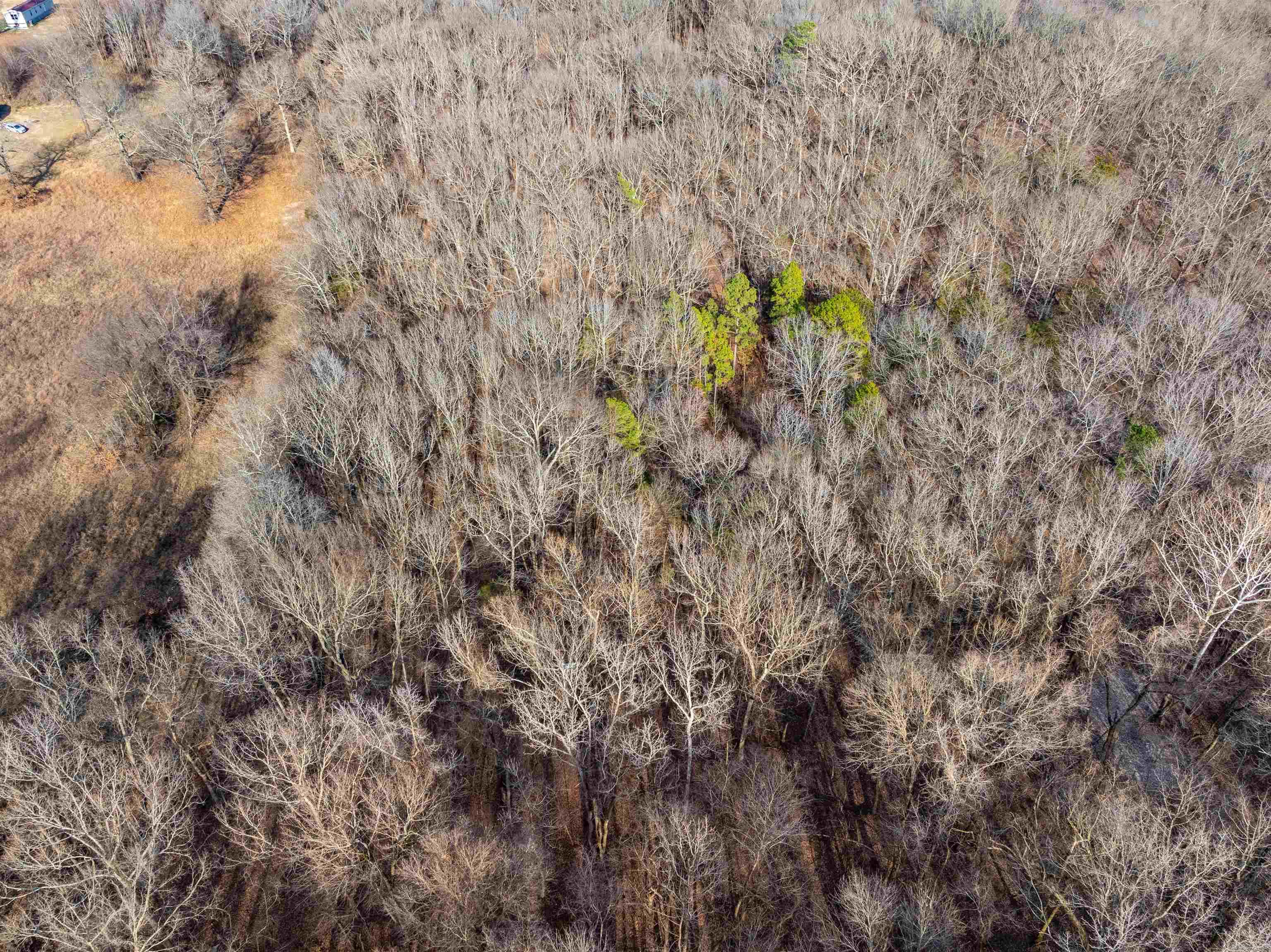 Photo 18 - Vacant Land for sale – TBD  Deer Valley Rd   Locust Grove, AR