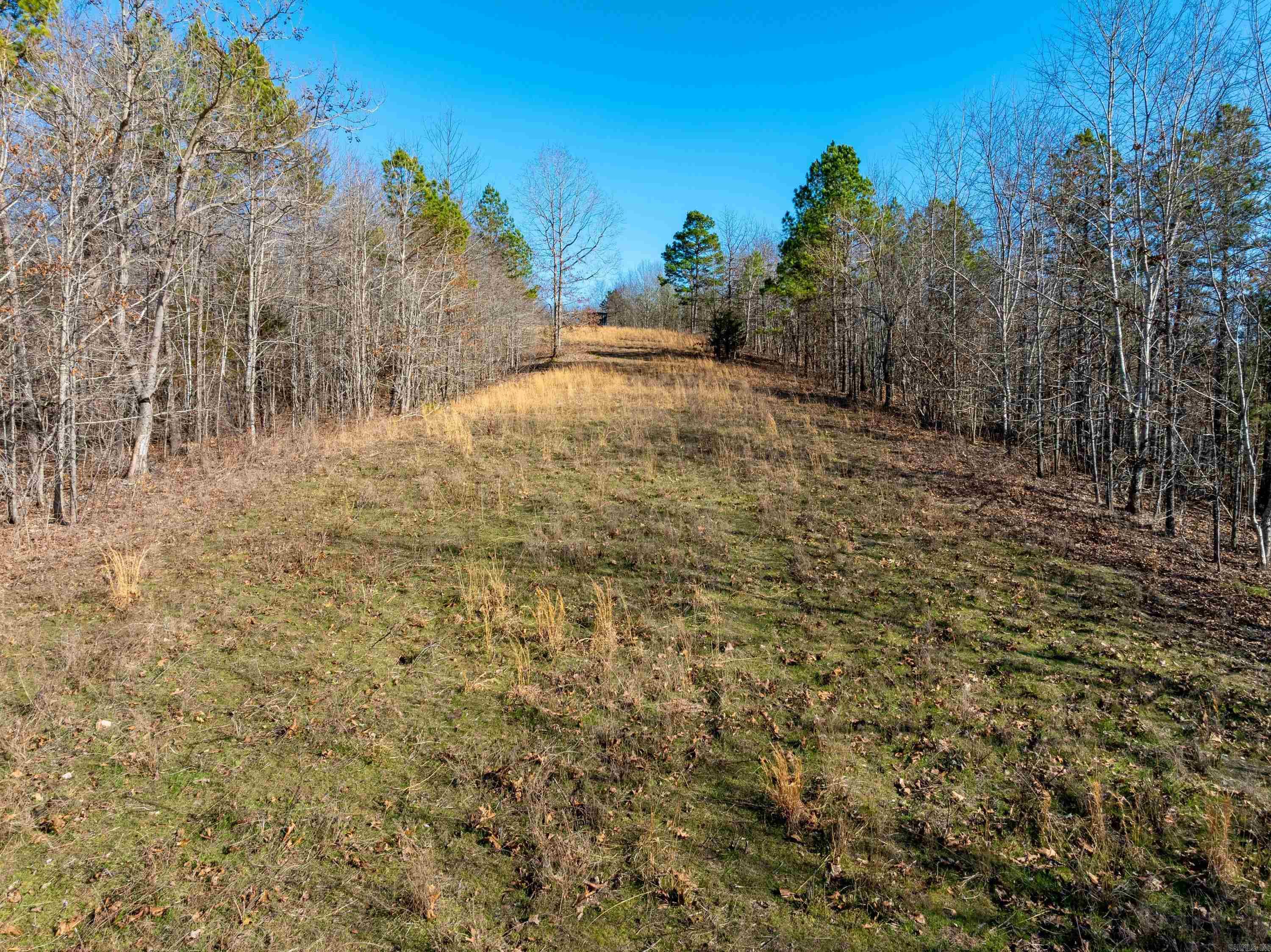 Photo 12 - Vacant Land for sale –   Collistown Rd   Cushman, AR