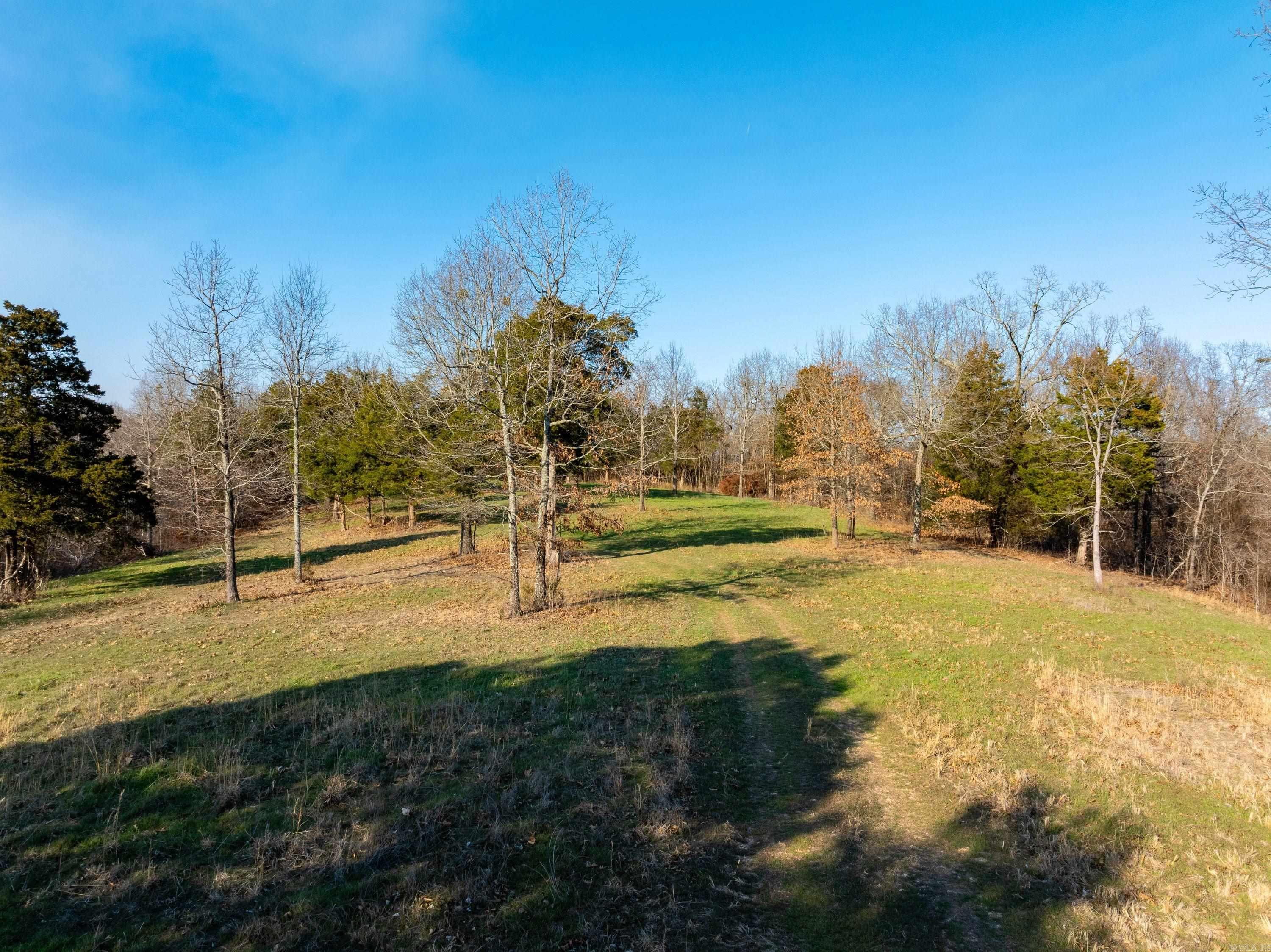 Photo 13 - Vacant Land for sale –   Collistown Rd   Cushman, AR