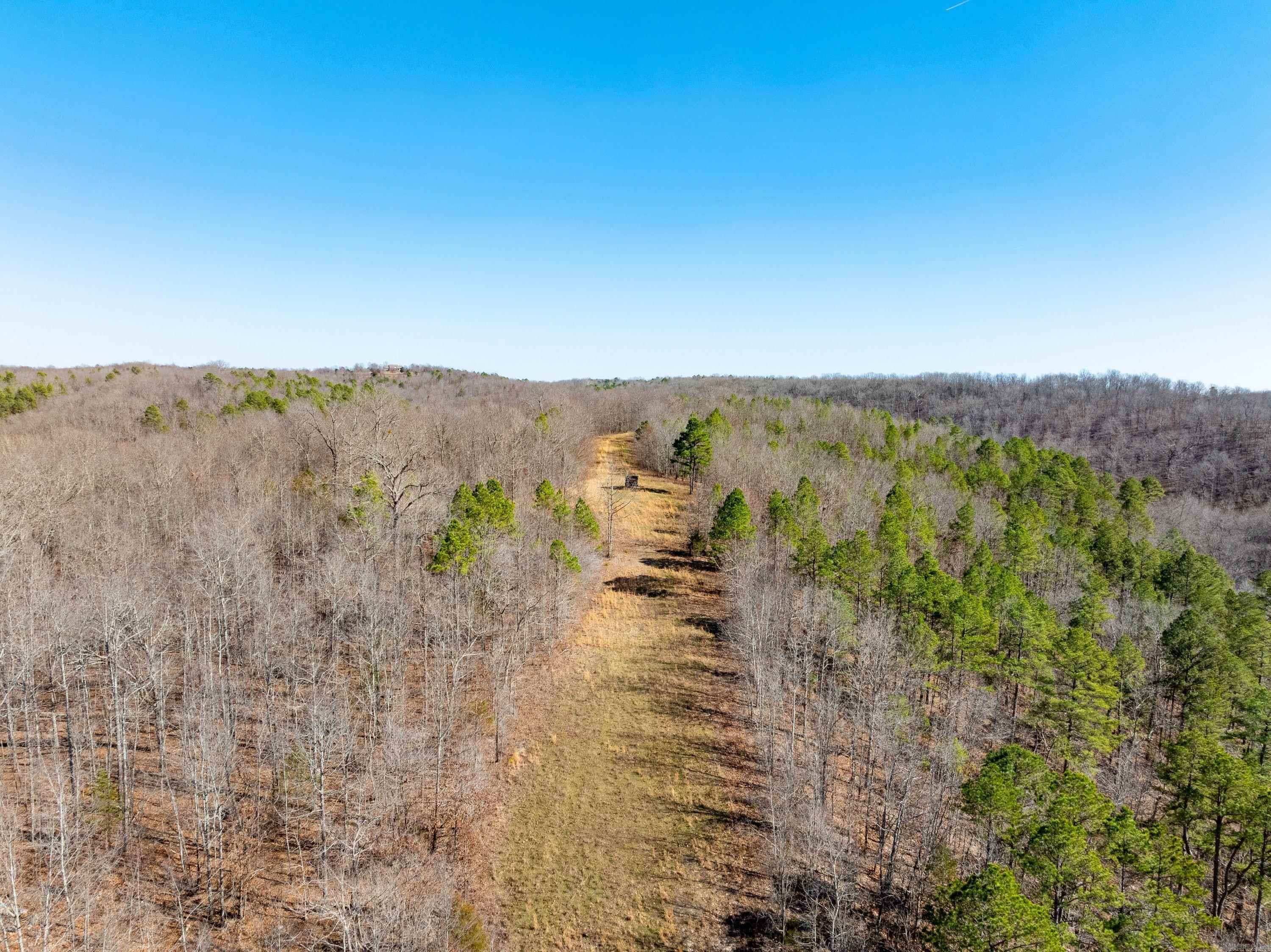 Photo 14 - Vacant Land for sale –   Collistown Rd   Cushman, AR