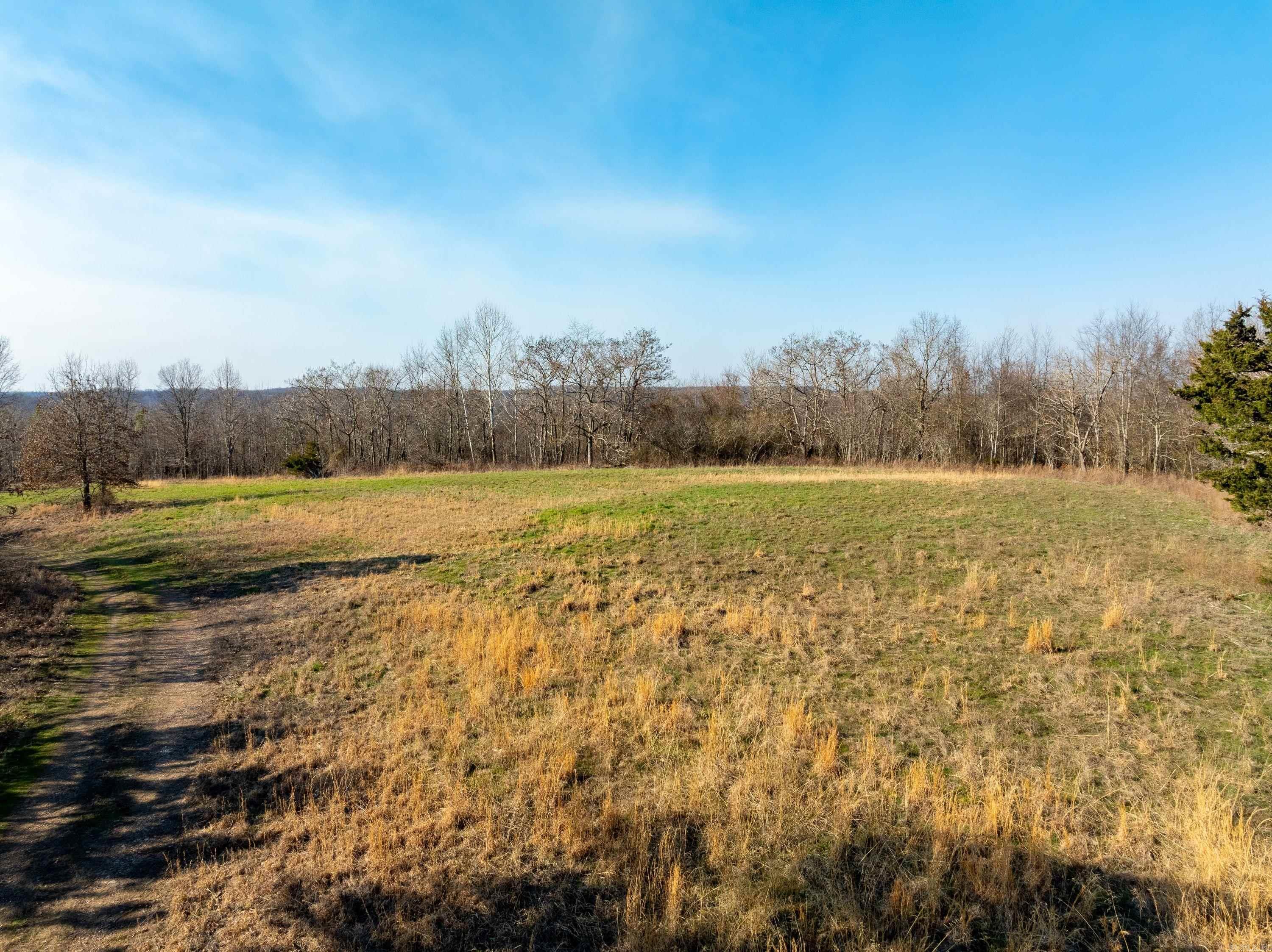 Photo 15 - Vacant Land for sale –   Collistown Rd   Cushman, AR