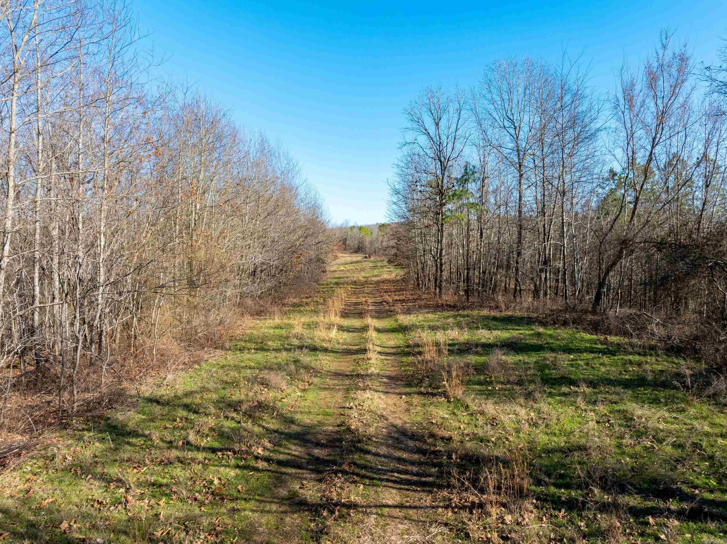 Photo 16 - Vacant Land for sale –   Collistown Rd   Cushman, AR