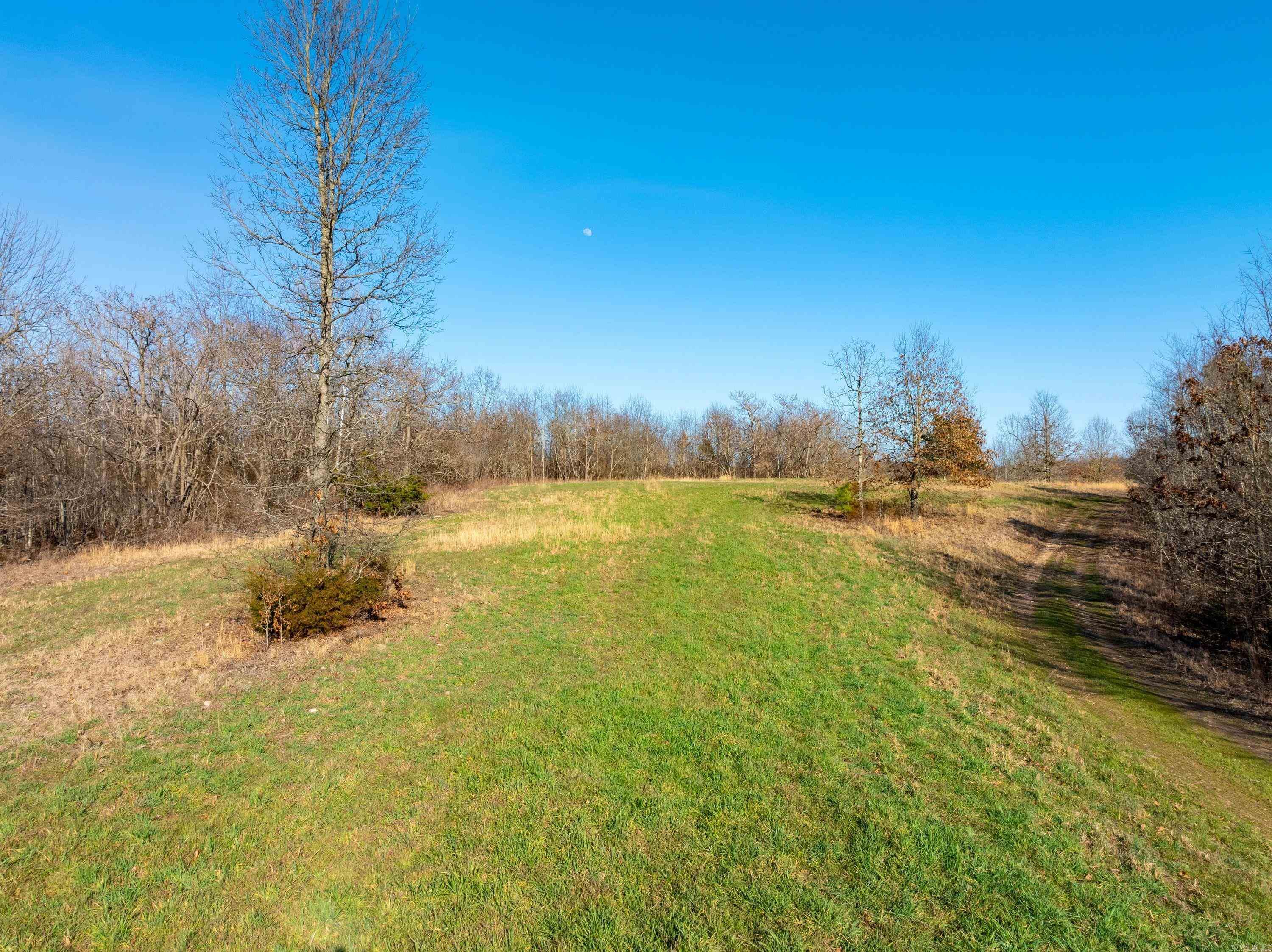 Photo 17 - Vacant Land for sale –   Collistown Rd   Cushman, AR