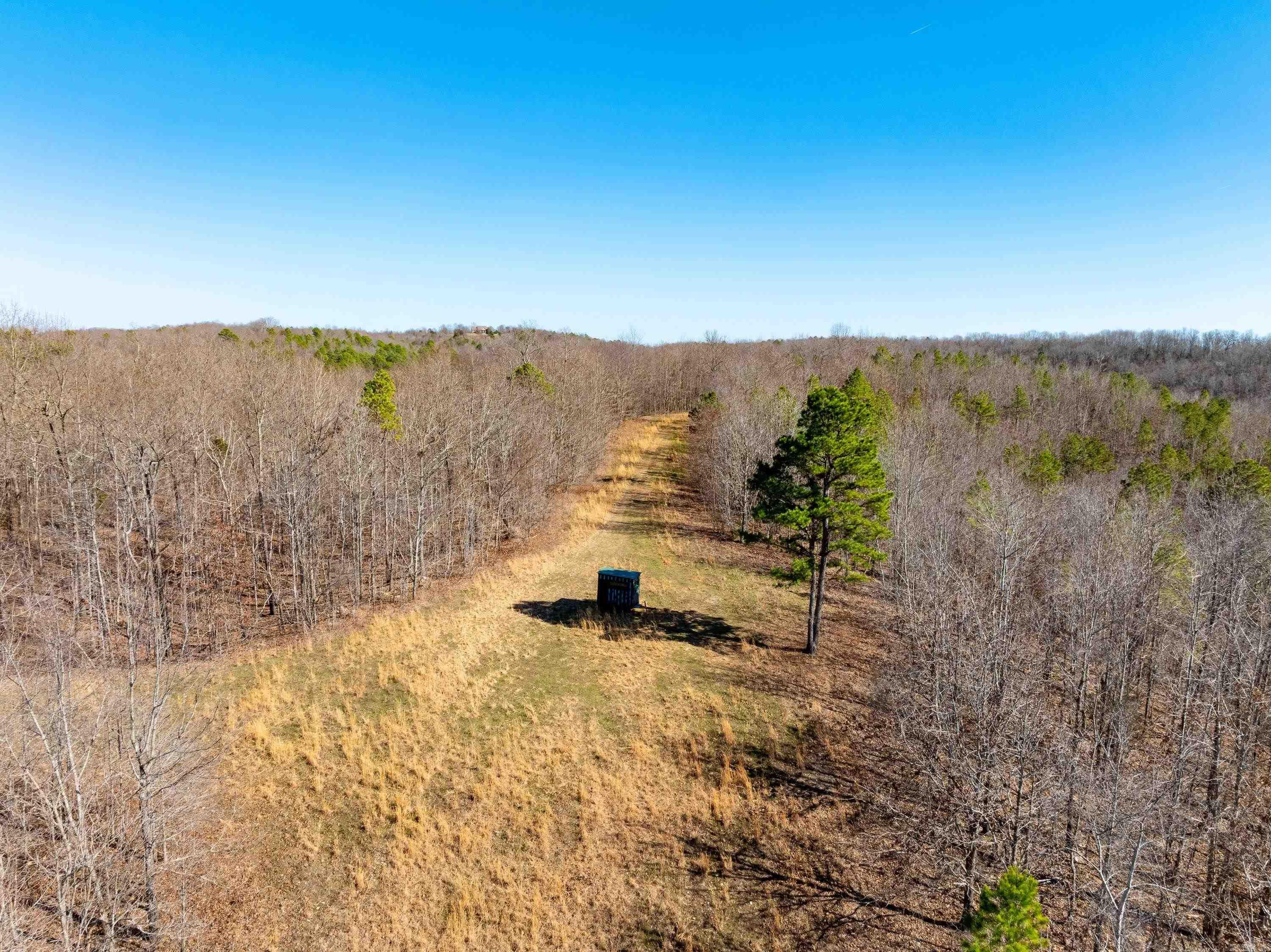 Photo 19 - Vacant Land for sale –   Collistown Rd   Cushman, AR