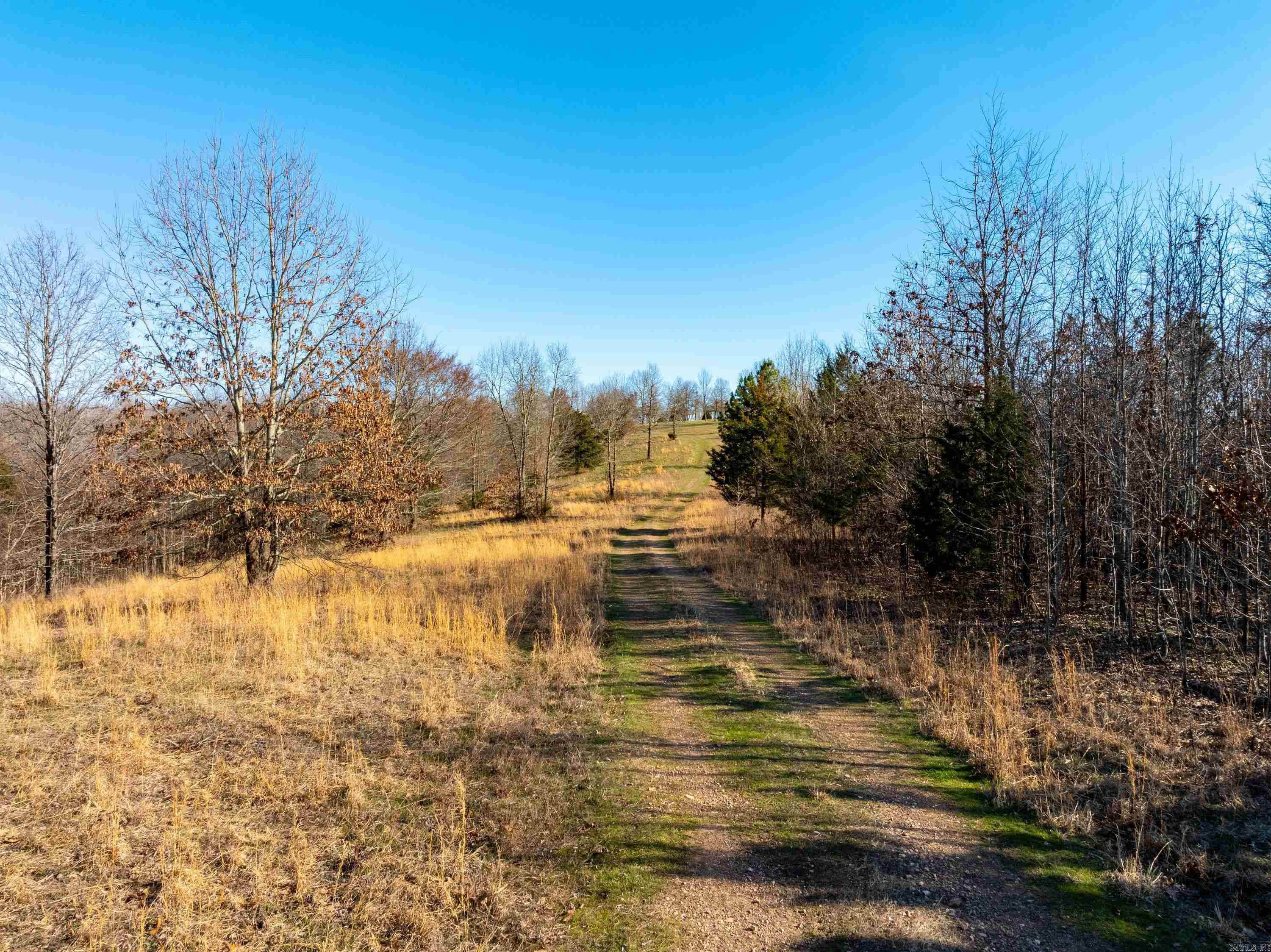 Photo 20 - Vacant Land for sale –   Collistown Rd   Cushman, AR