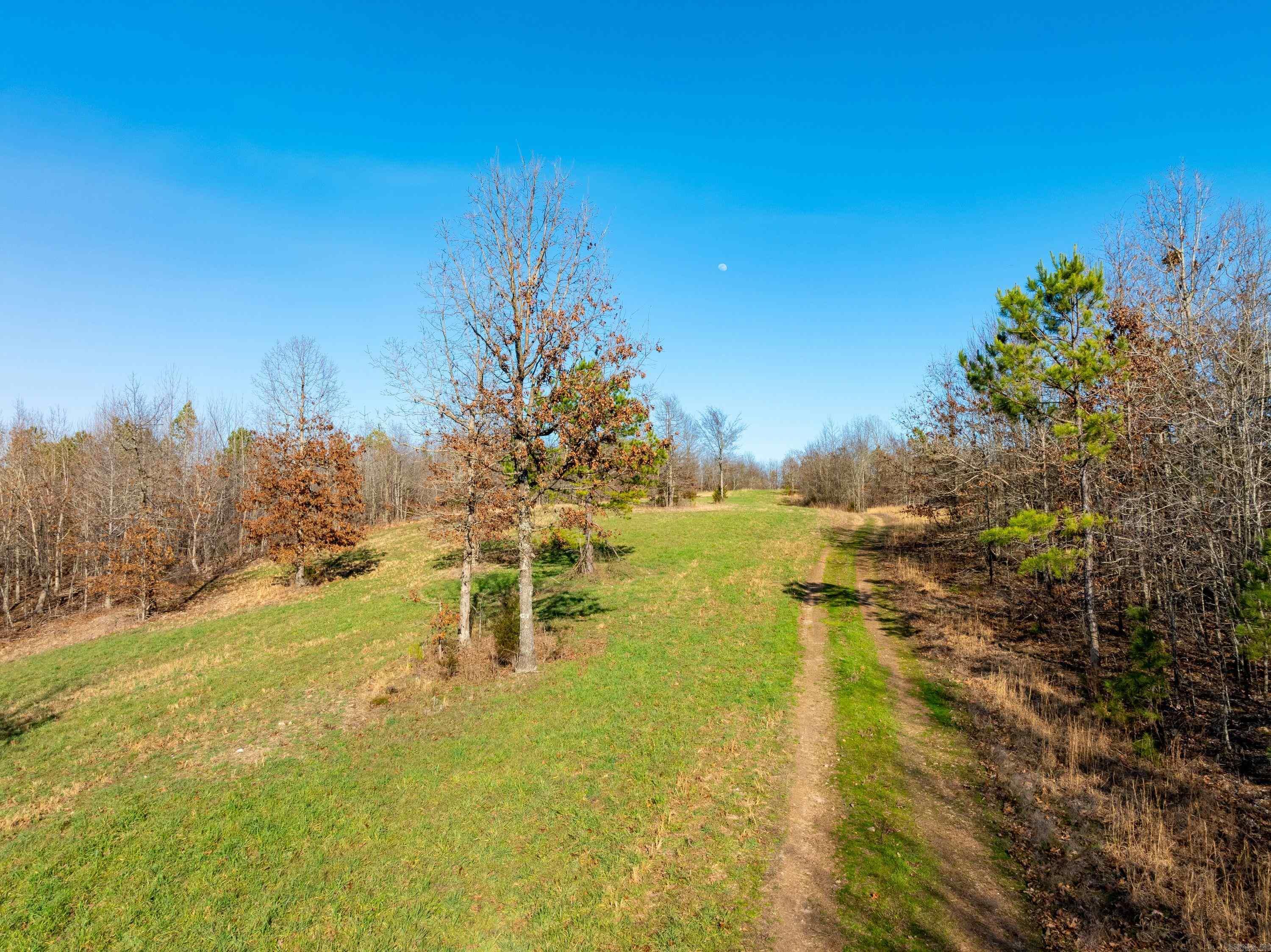 Photo 4 - Vacant Land for sale –   Collistown Rd   Cushman, AR