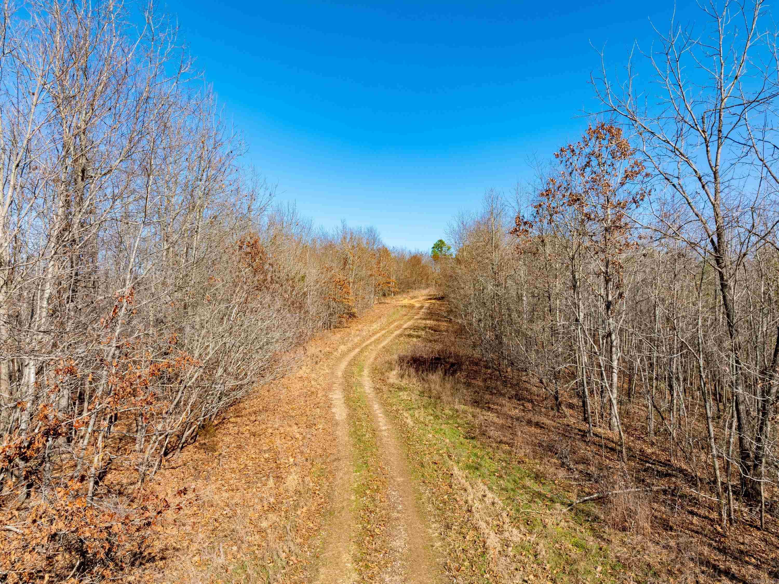 Photo 32 - Vacant Land for sale –   Collistown Rd   Cushman, AR