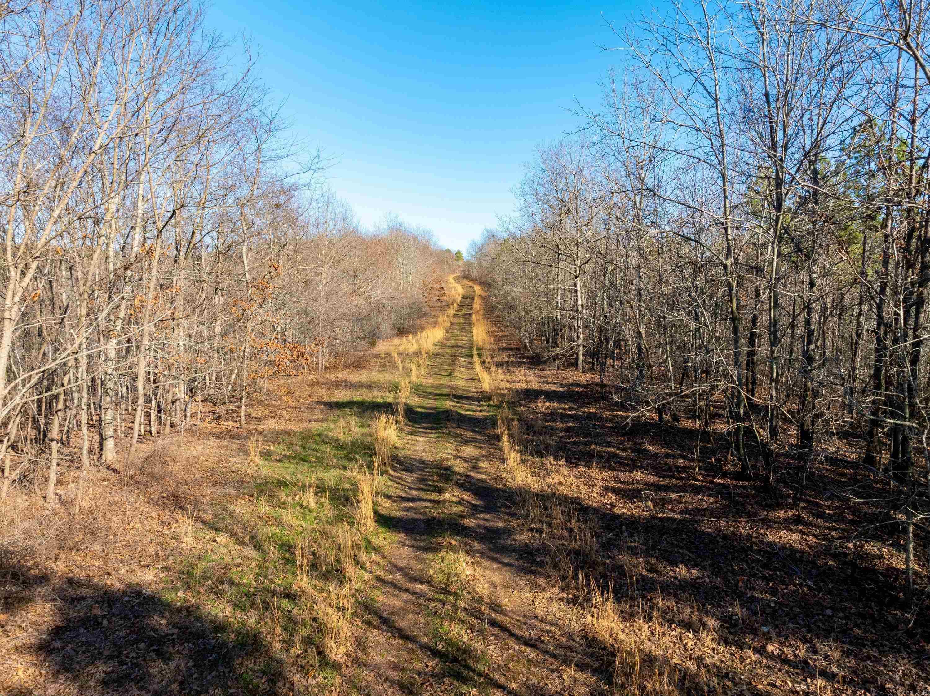 Photo 35 - Vacant Land for sale –   Collistown Rd   Cushman, AR