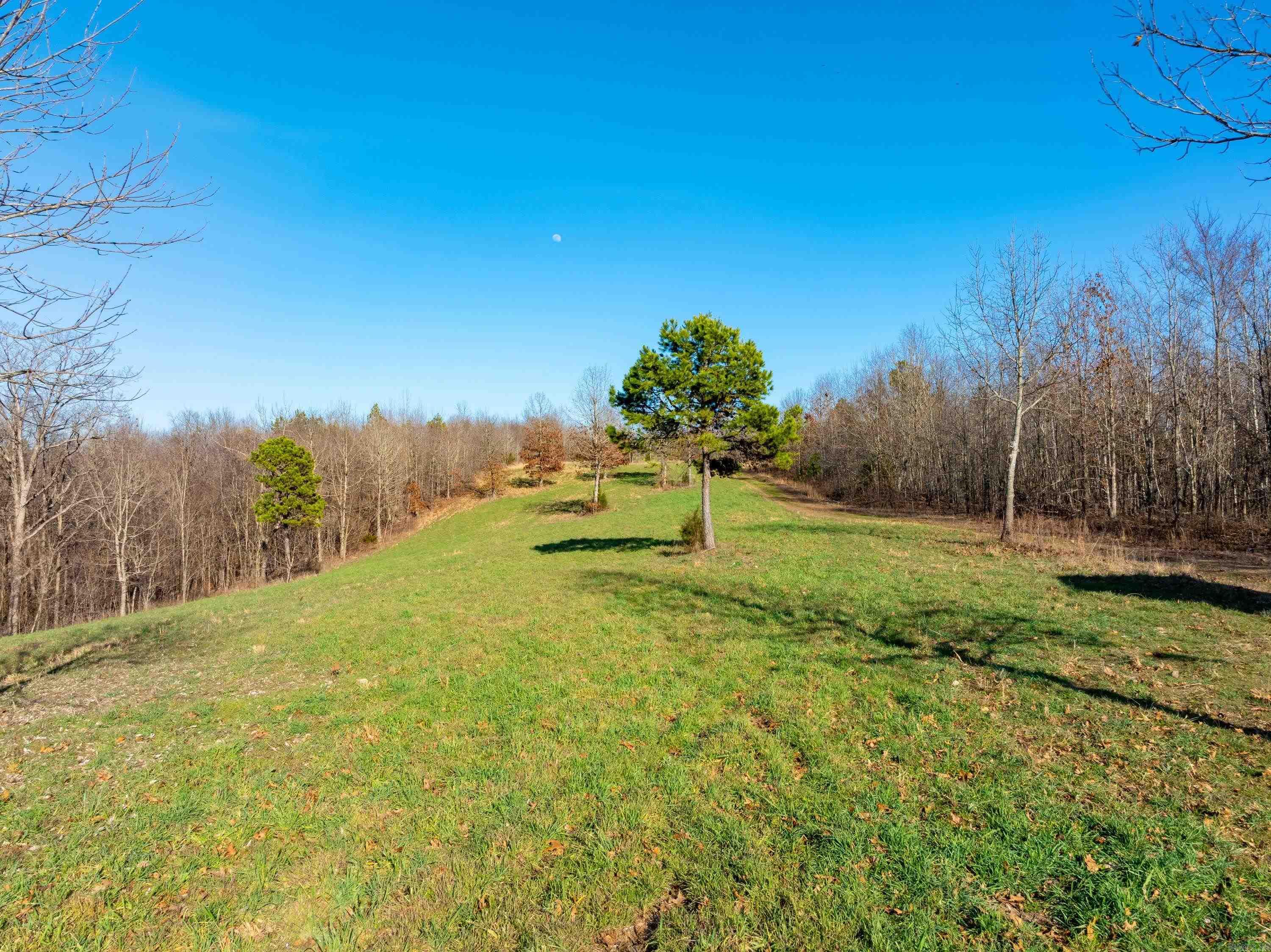 Photo 5 - Vacant Land for sale –   Collistown Rd   Cushman, AR