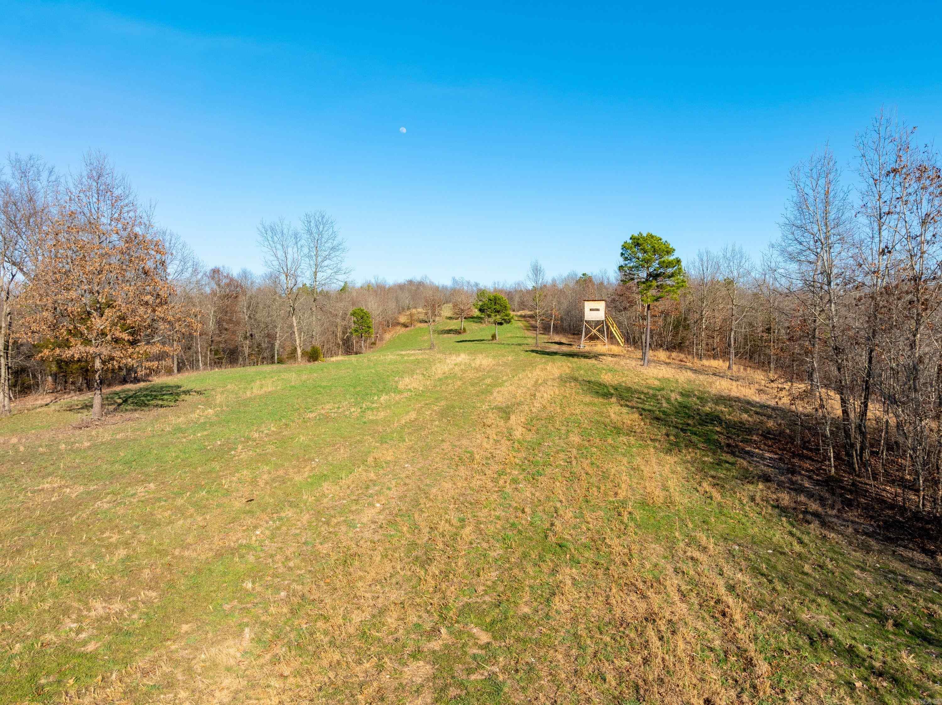 Photo 6 - Vacant Land for sale –   Collistown Rd   Cushman, AR