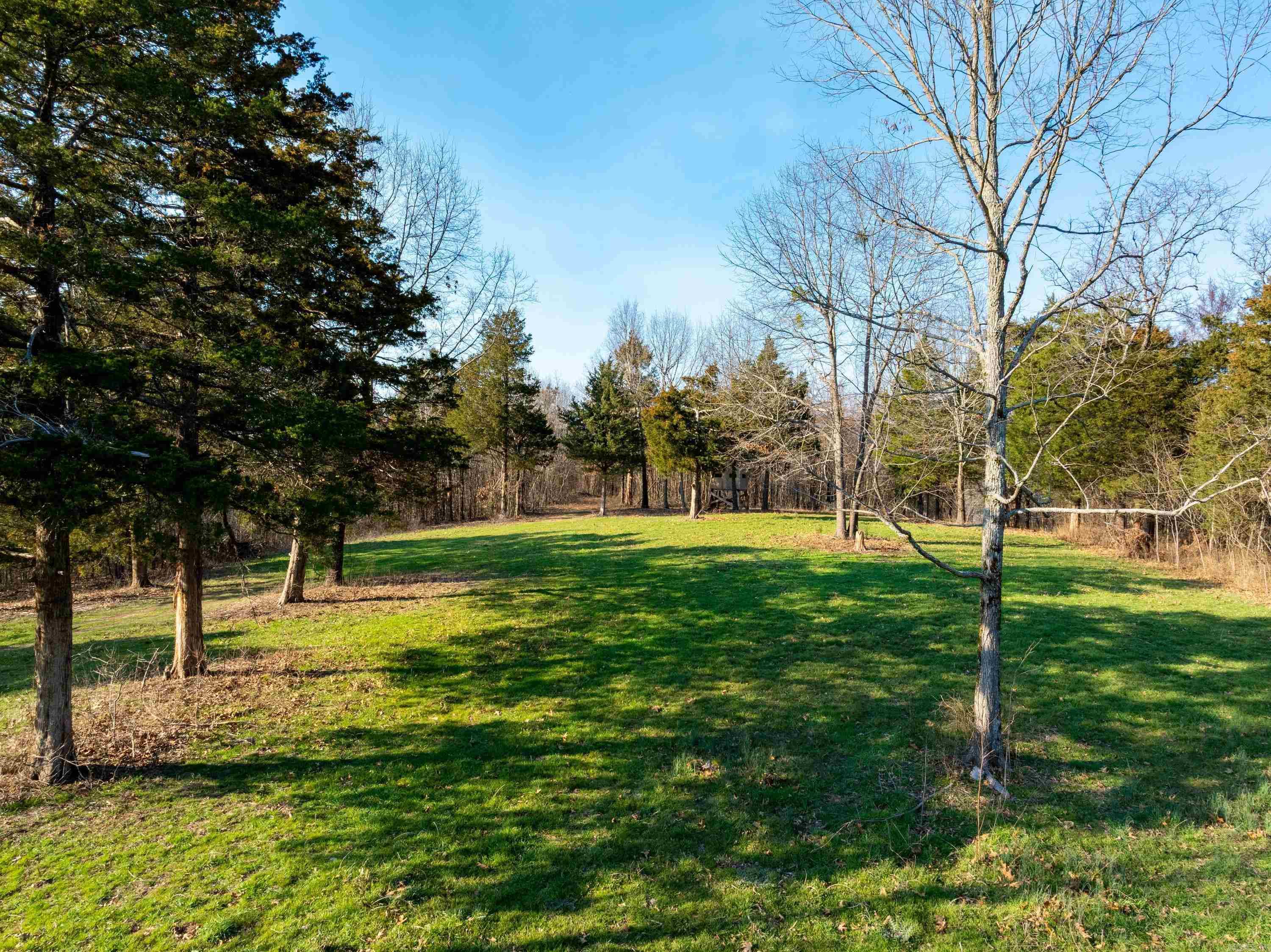 Photo 7 - Vacant Land for sale –   Collistown Rd   Cushman, AR