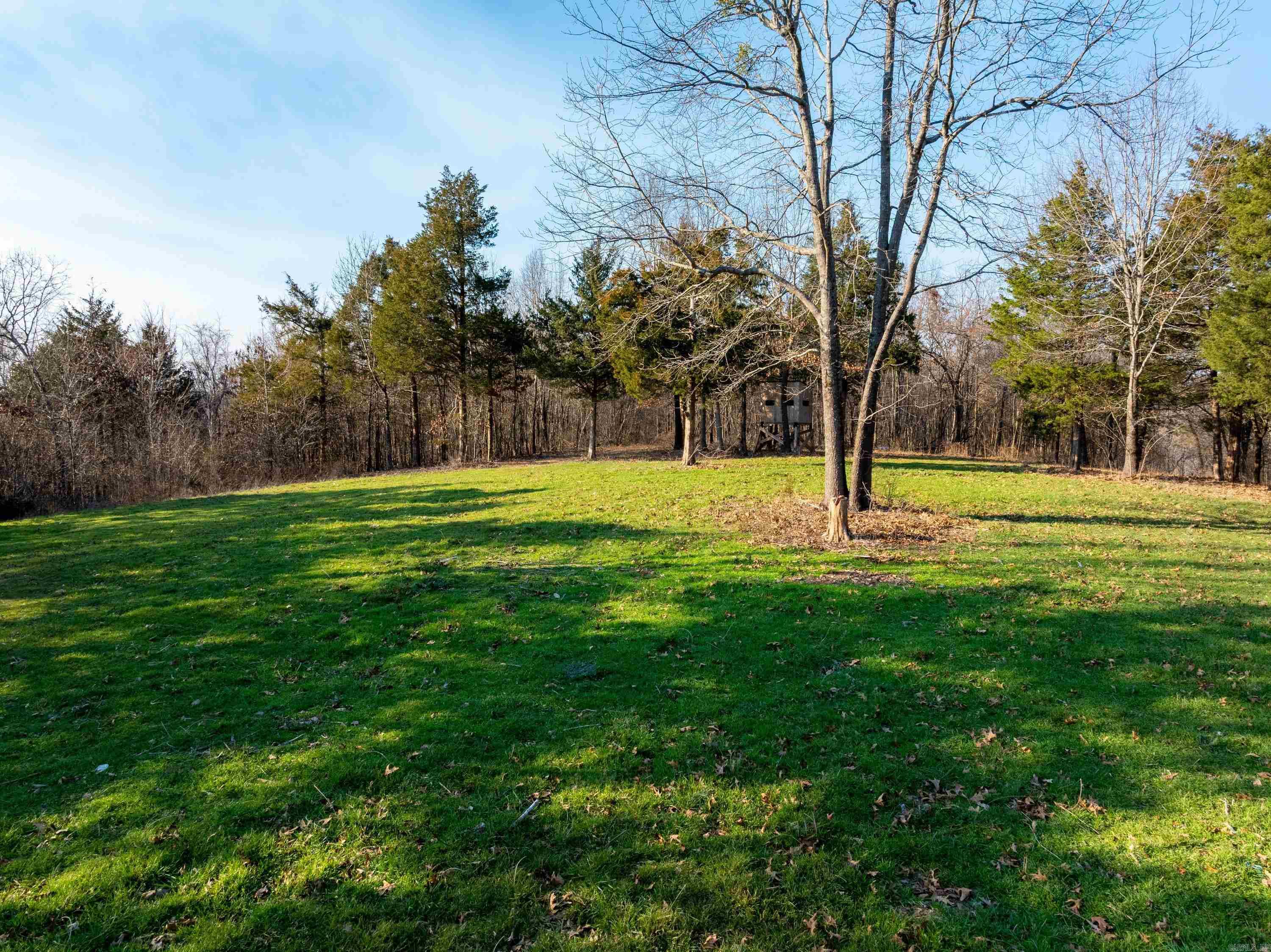 Photo 8 - Vacant Land for sale –   Collistown Rd   Cushman, AR