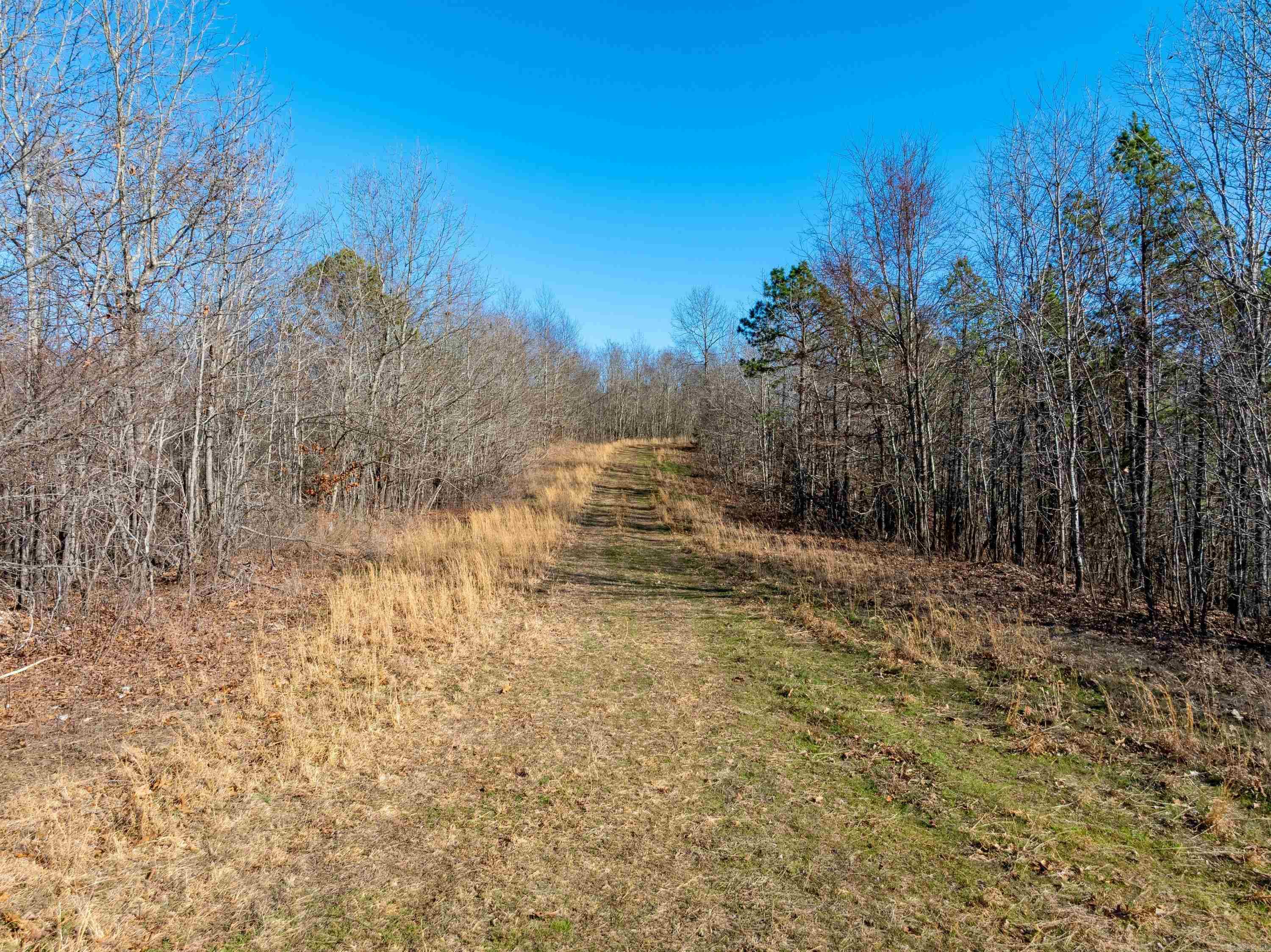 Photo 10 - Vacant Land for sale –   Collistown Rd   Cushman, AR