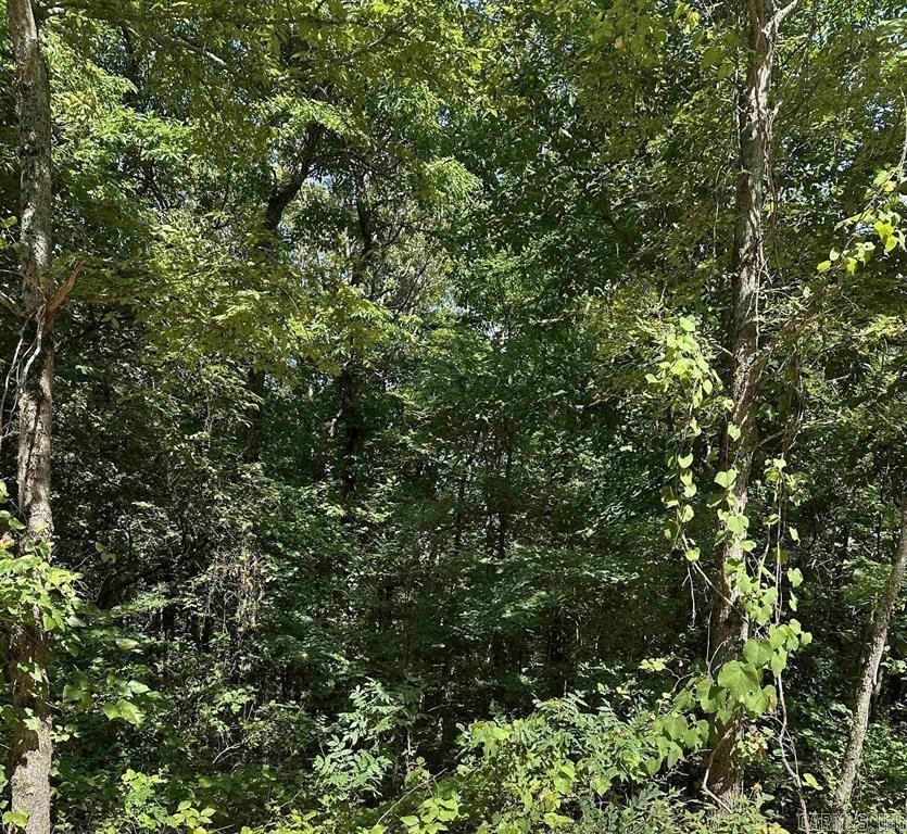 Vacant Land for sale – 3.5 Acres  Heber Springs   Locust Grove, AR