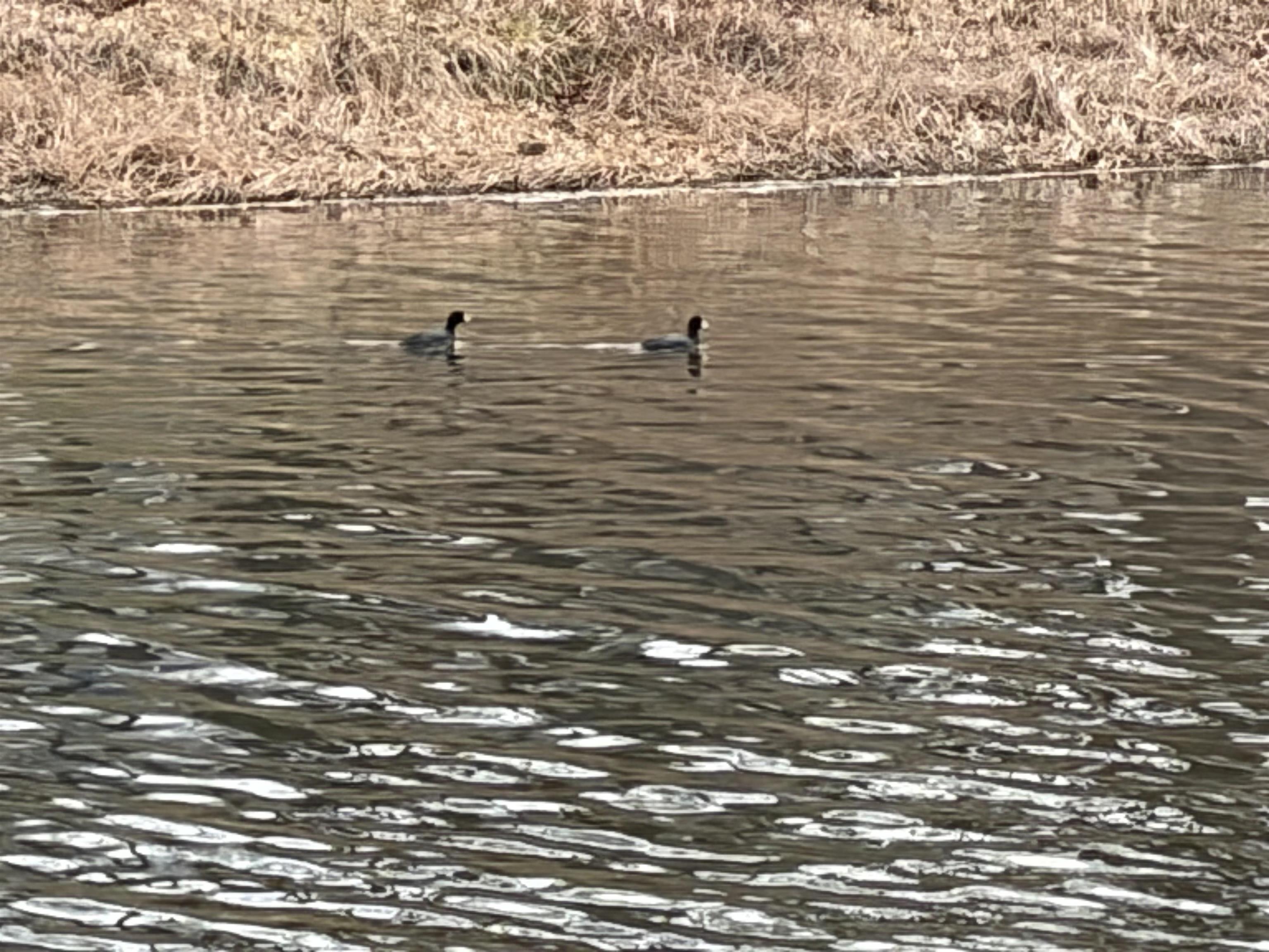 Photo 34 - Residential for sale – 201  Topaz   Horseshoe Bend, AR