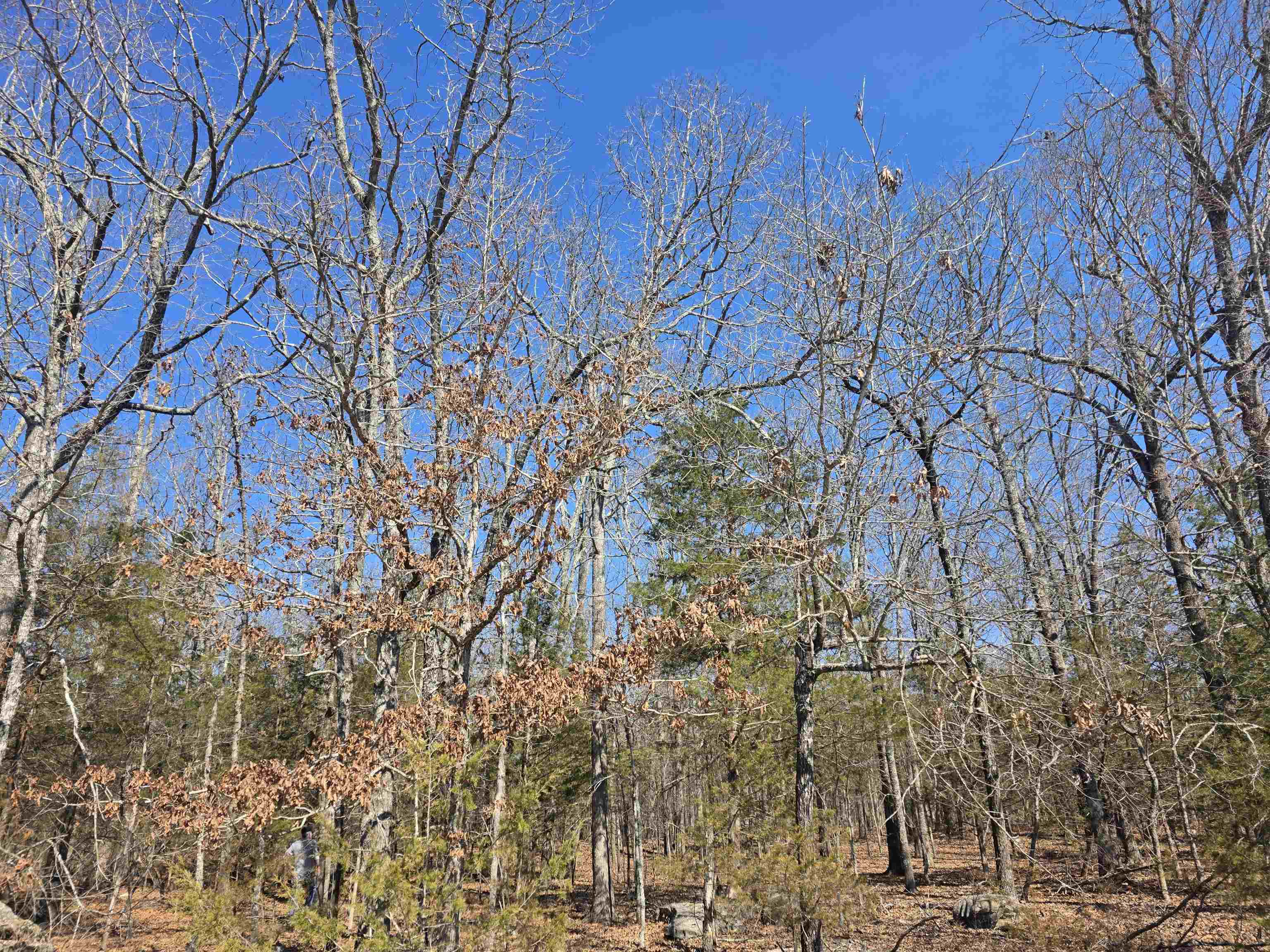 Photo 11 - Vacant Land for sale – 1112  Court Loop   Horseshoe Bend, AR