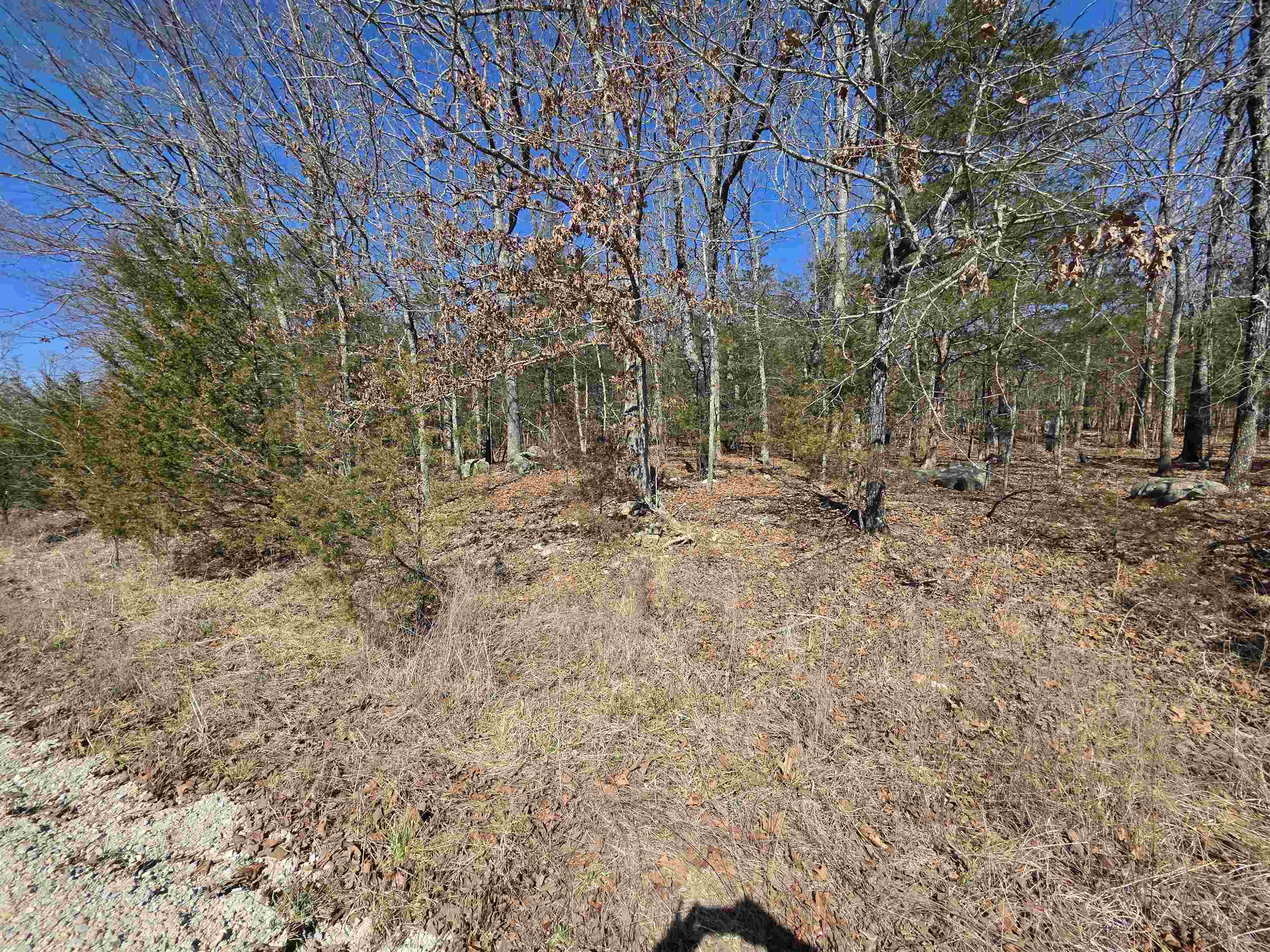 Photo 13 - Vacant Land for sale – 1112  Court Loop   Horseshoe Bend, AR