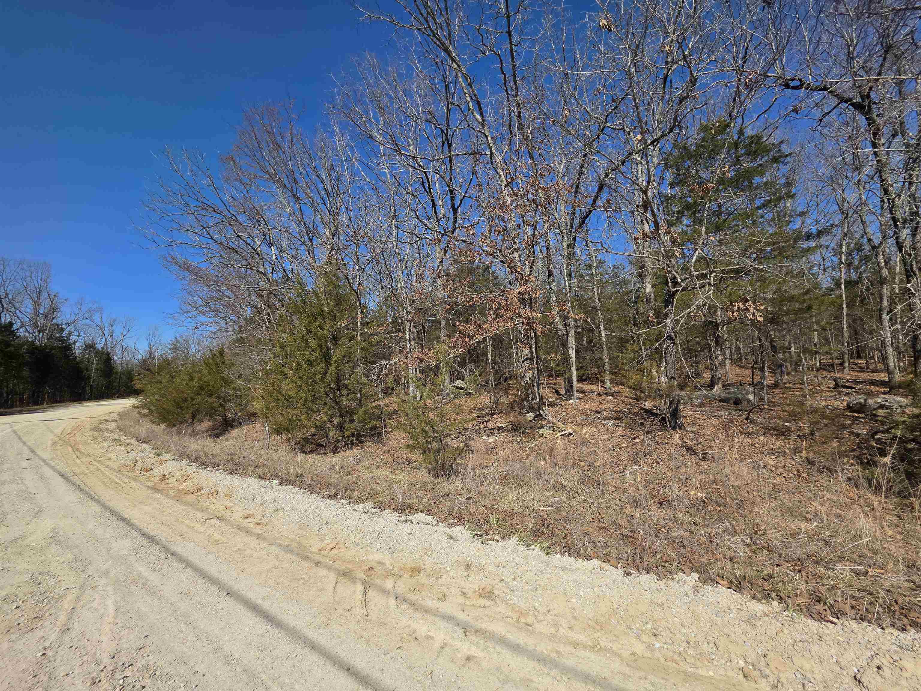 Photo 14 - Vacant Land for sale – 1112  Court Loop   Horseshoe Bend, AR