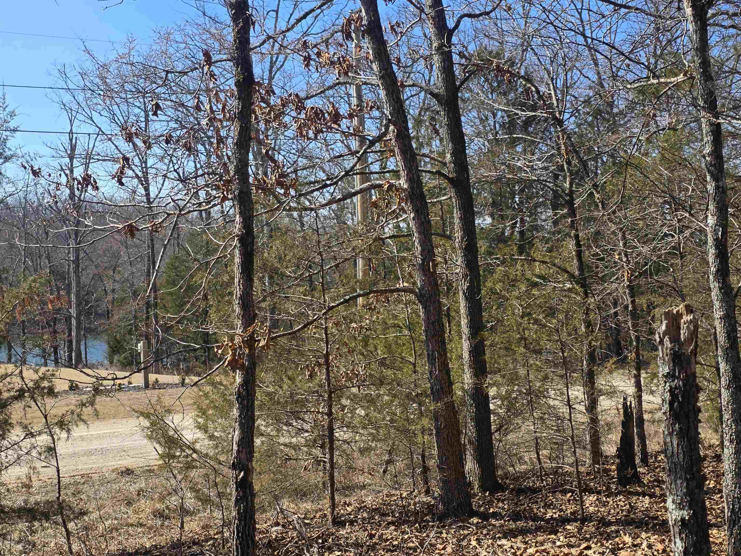 Photo 16 - Vacant Land for sale – 1112  Court Loop   Horseshoe Bend, AR