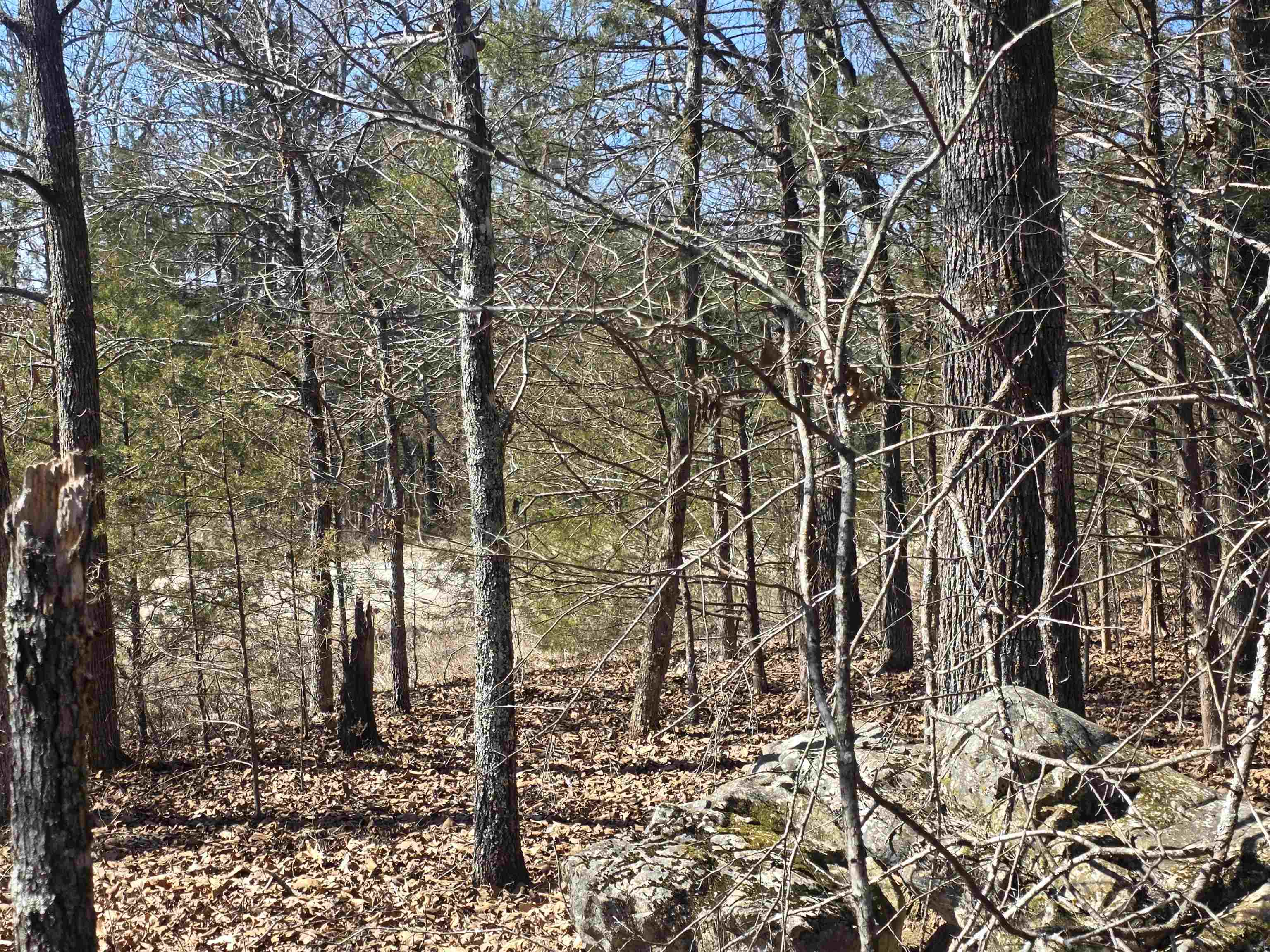 Photo 17 - Vacant Land for sale – 1112  Court Loop   Horseshoe Bend, AR