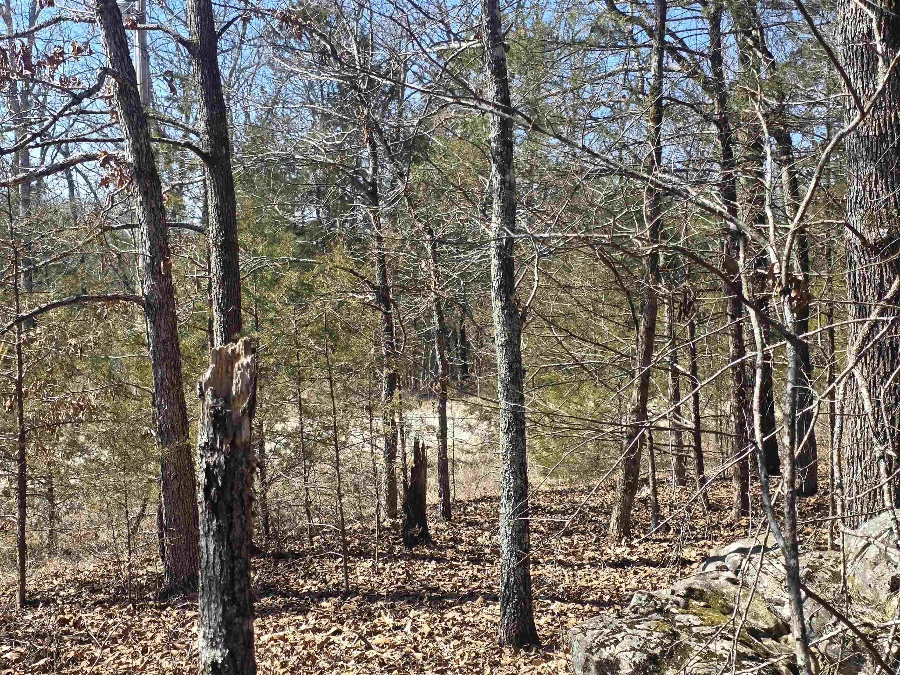 Photo 18 - Vacant Land for sale – 1112  Court Loop   Horseshoe Bend, AR