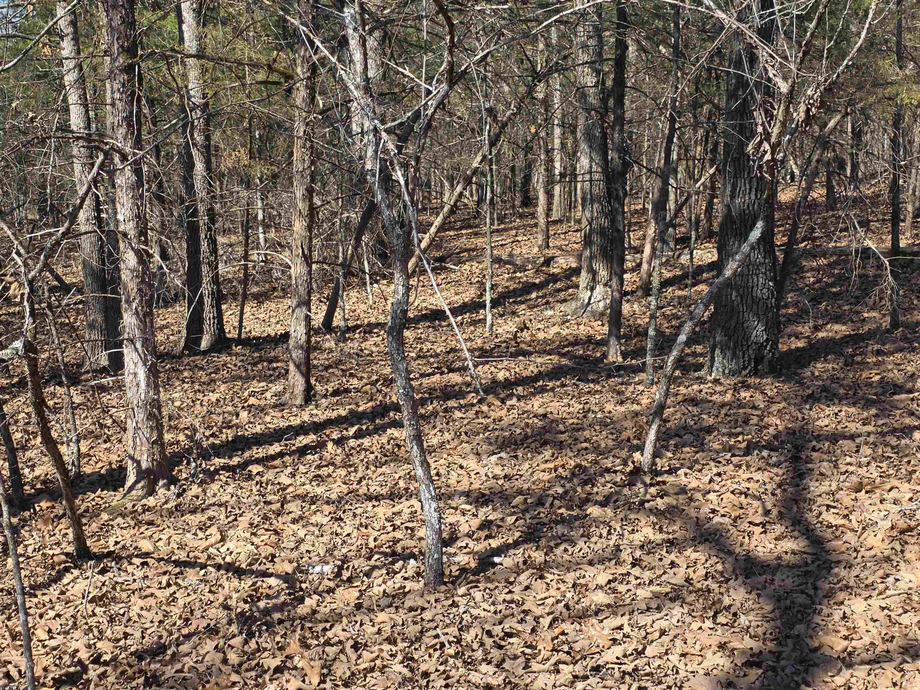 Photo 19 - Vacant Land for sale – 1112  Court Loop   Horseshoe Bend, AR