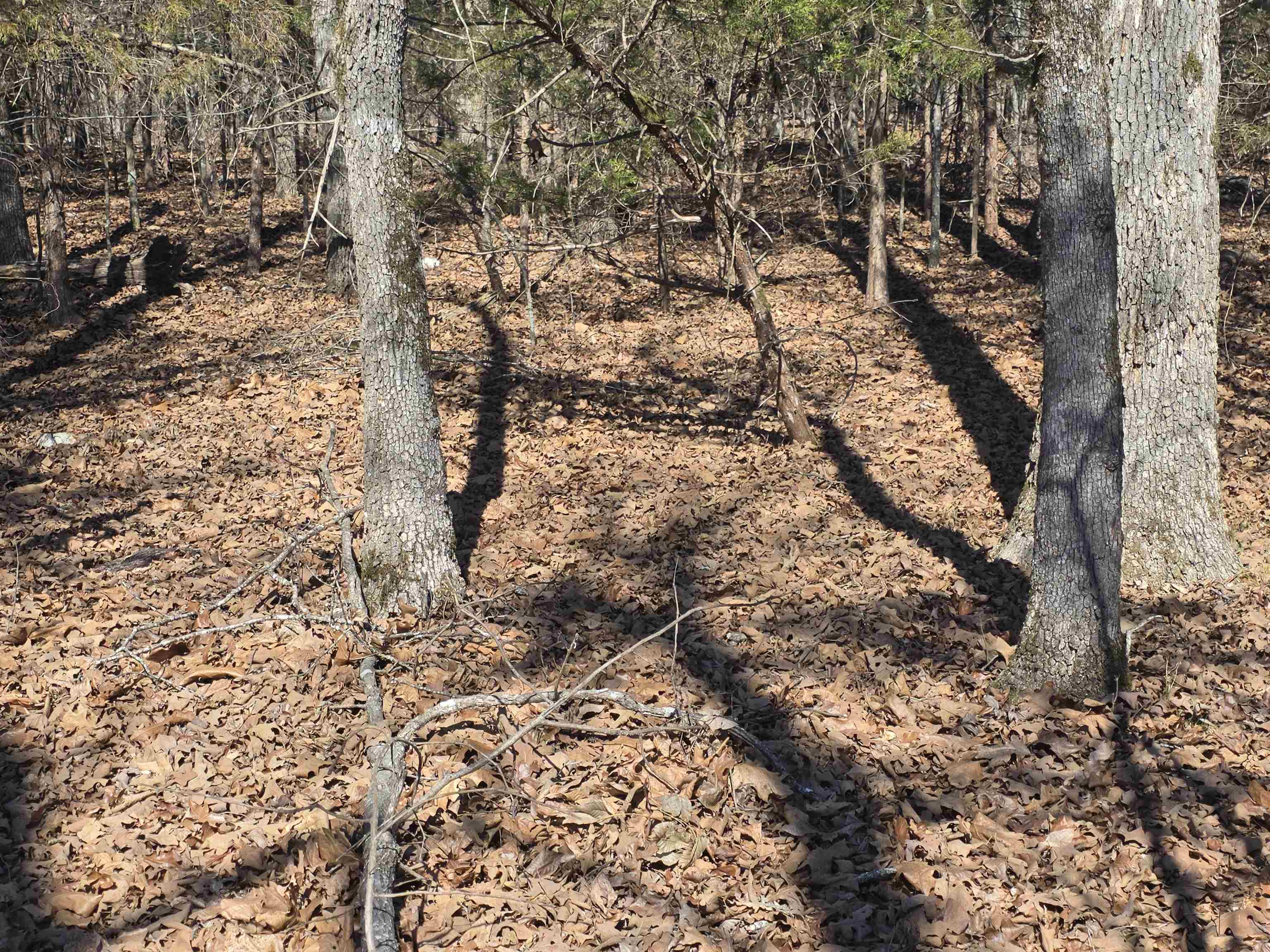 Photo 20 - Vacant Land for sale – 1112  Court Loop   Horseshoe Bend, AR