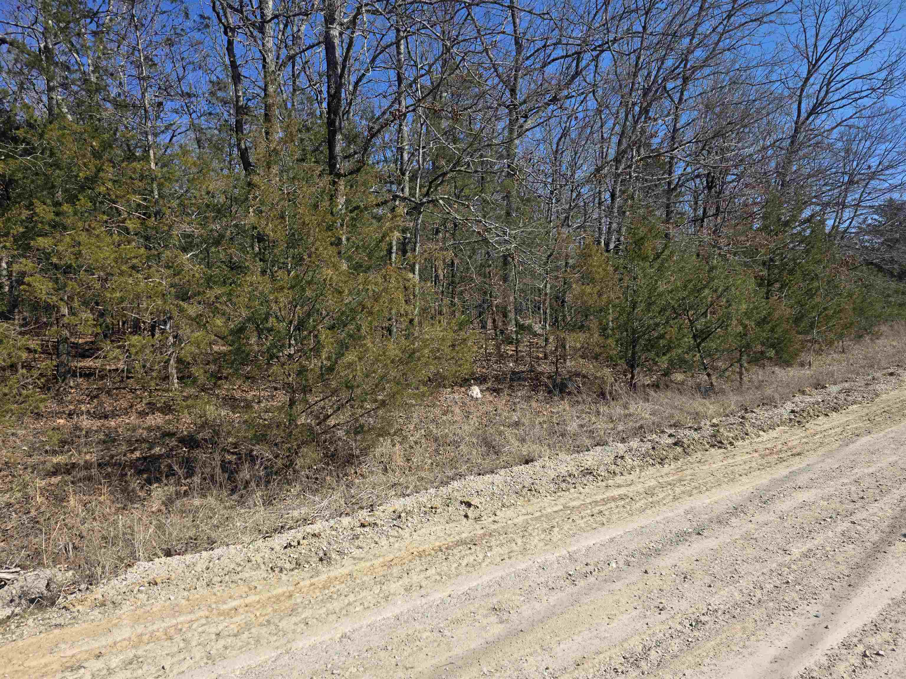 Photo 3 - Vacant Land for sale – 1112  Court Loop   Horseshoe Bend, AR