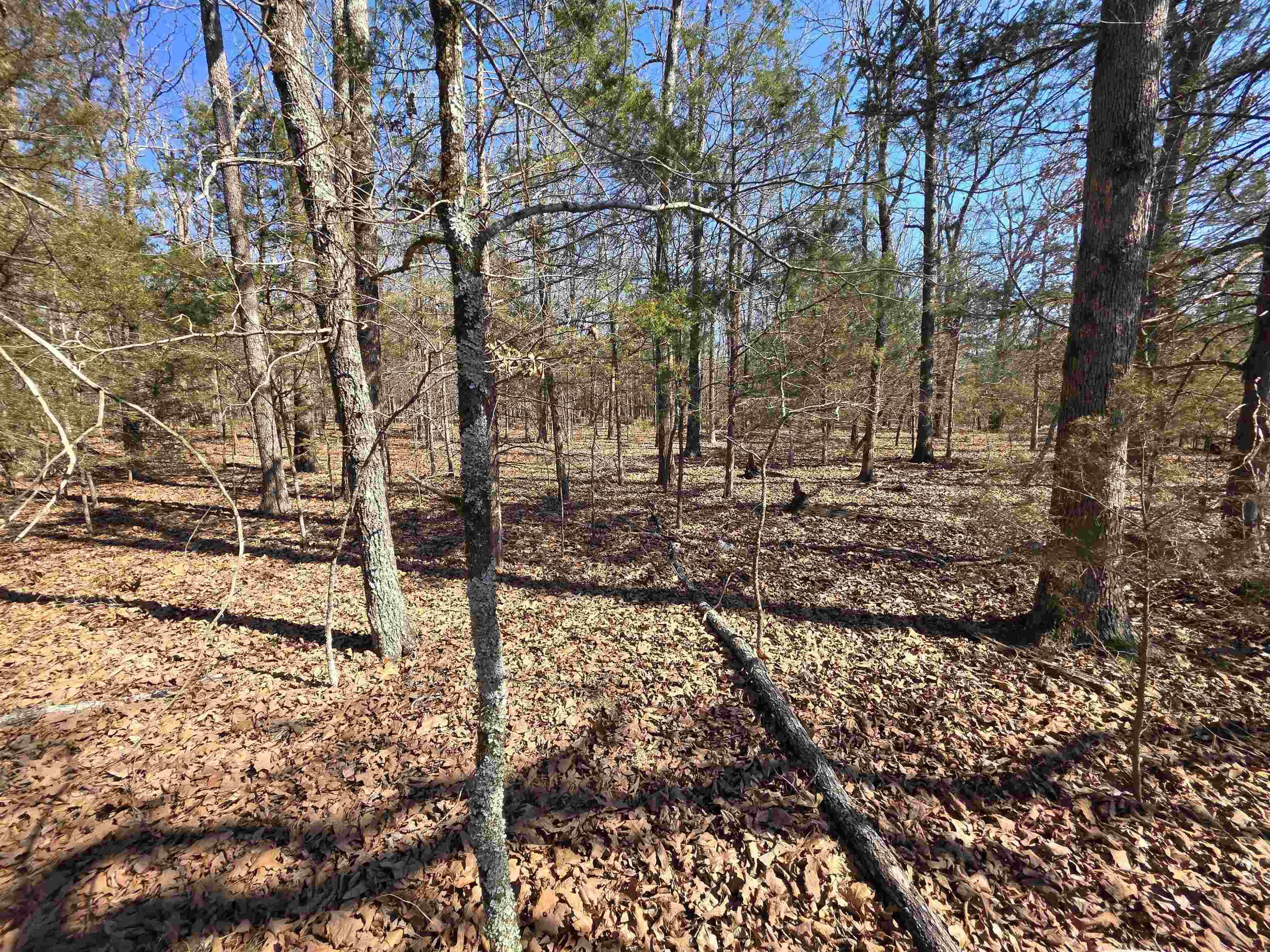 Photo 22 - Vacant Land for sale – 1112  Court Loop   Horseshoe Bend, AR