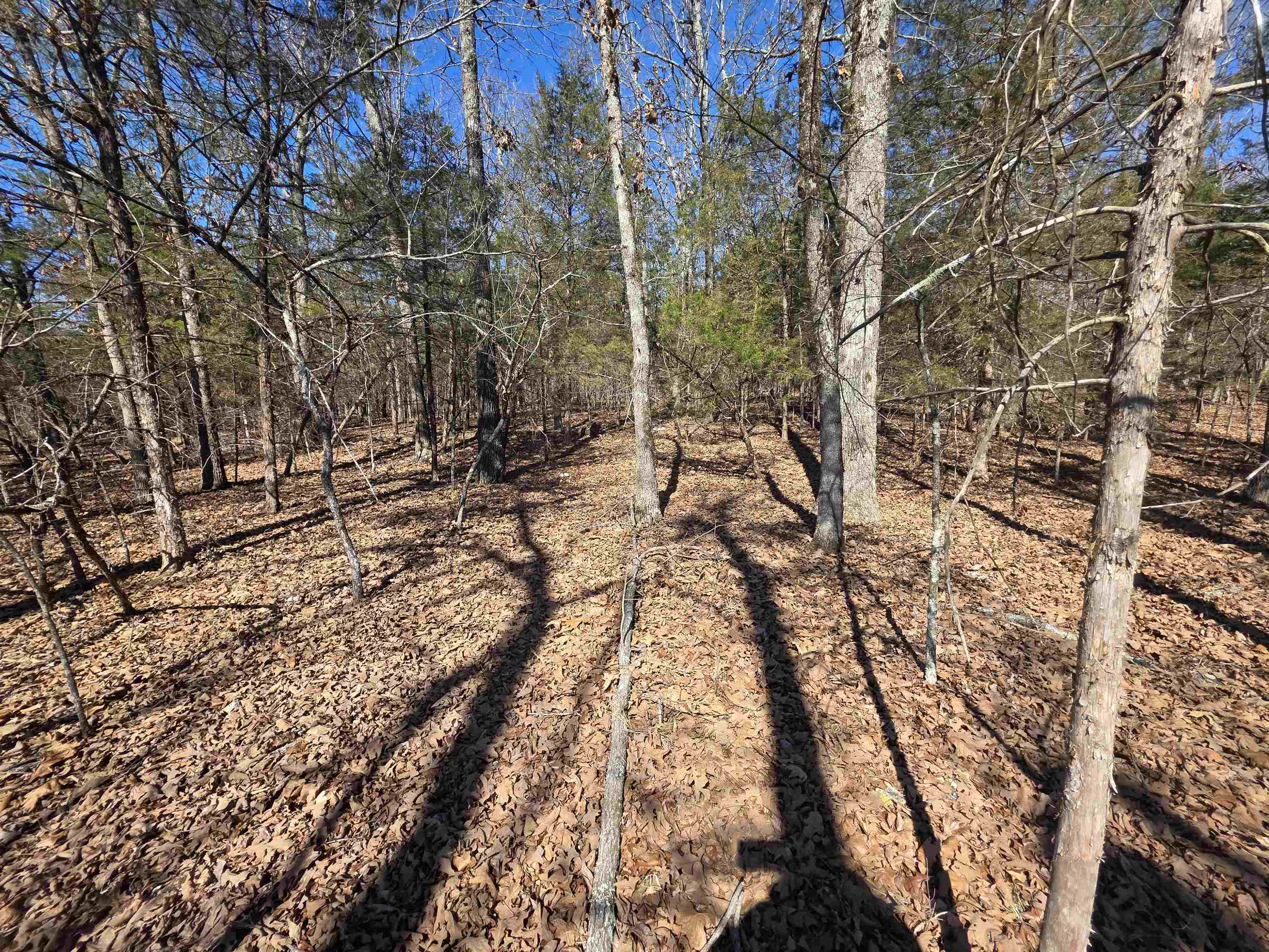 Photo 24 - Vacant Land for sale – 1112  Court Loop   Horseshoe Bend, AR